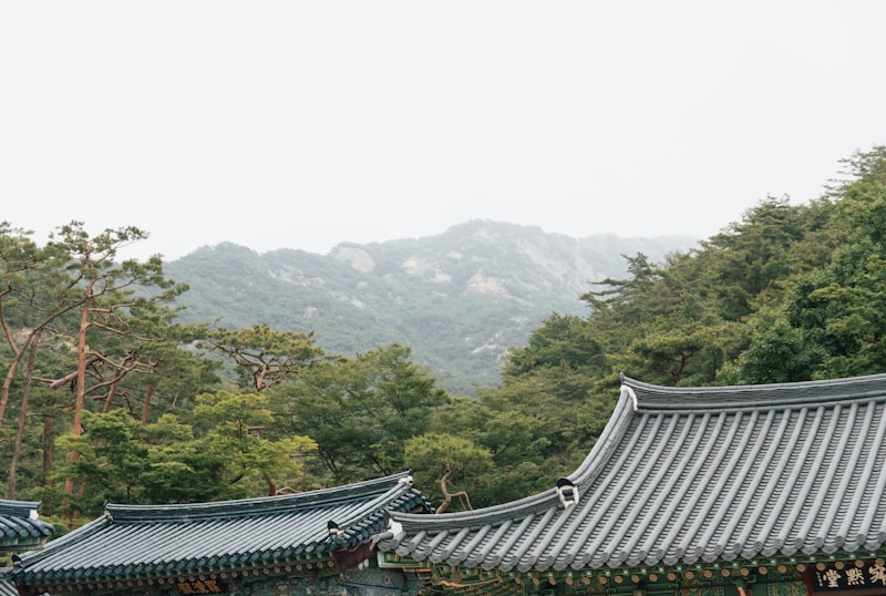 울산대공원 장미원
