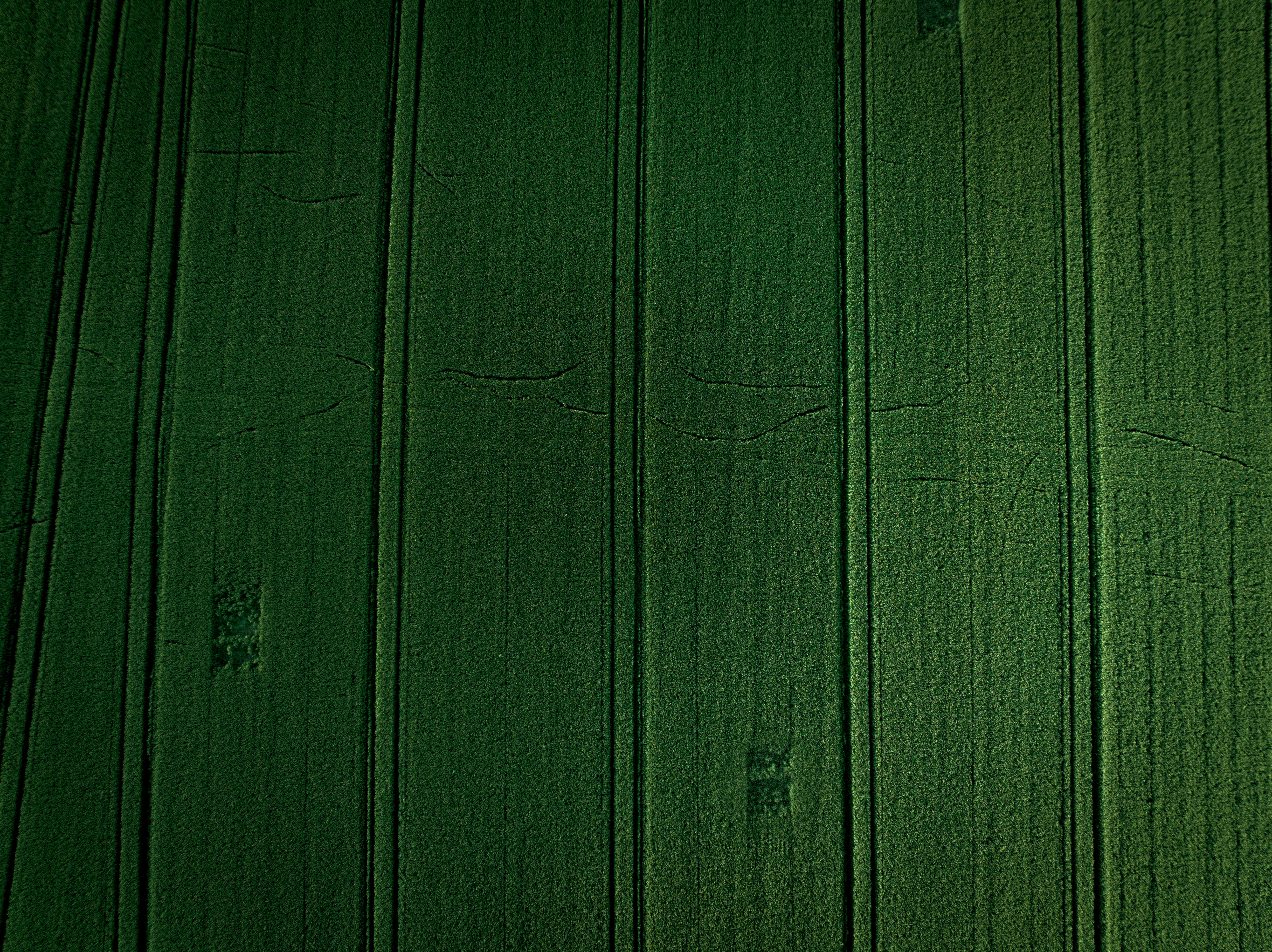 Photo by nathan030997