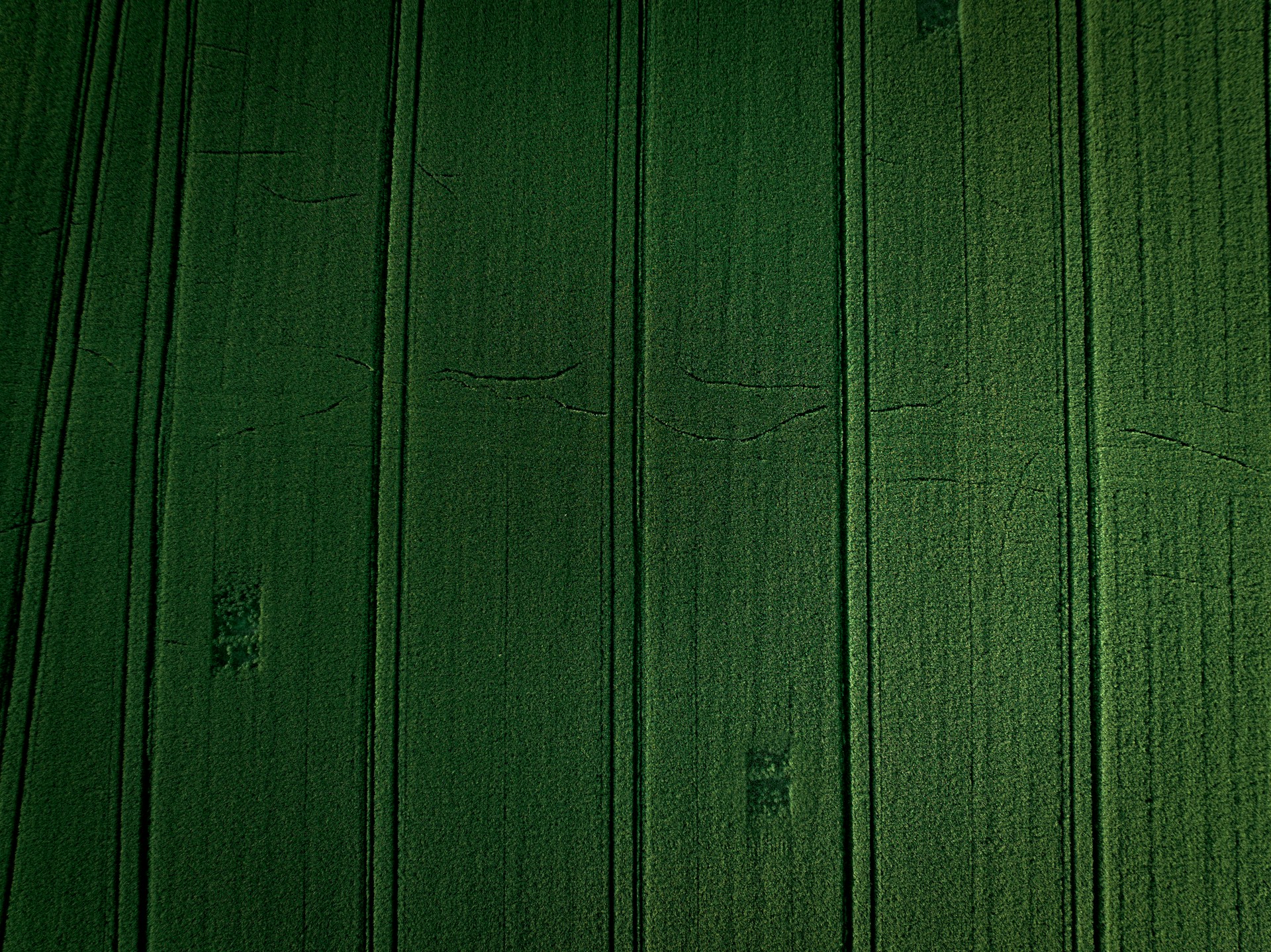 background pattern