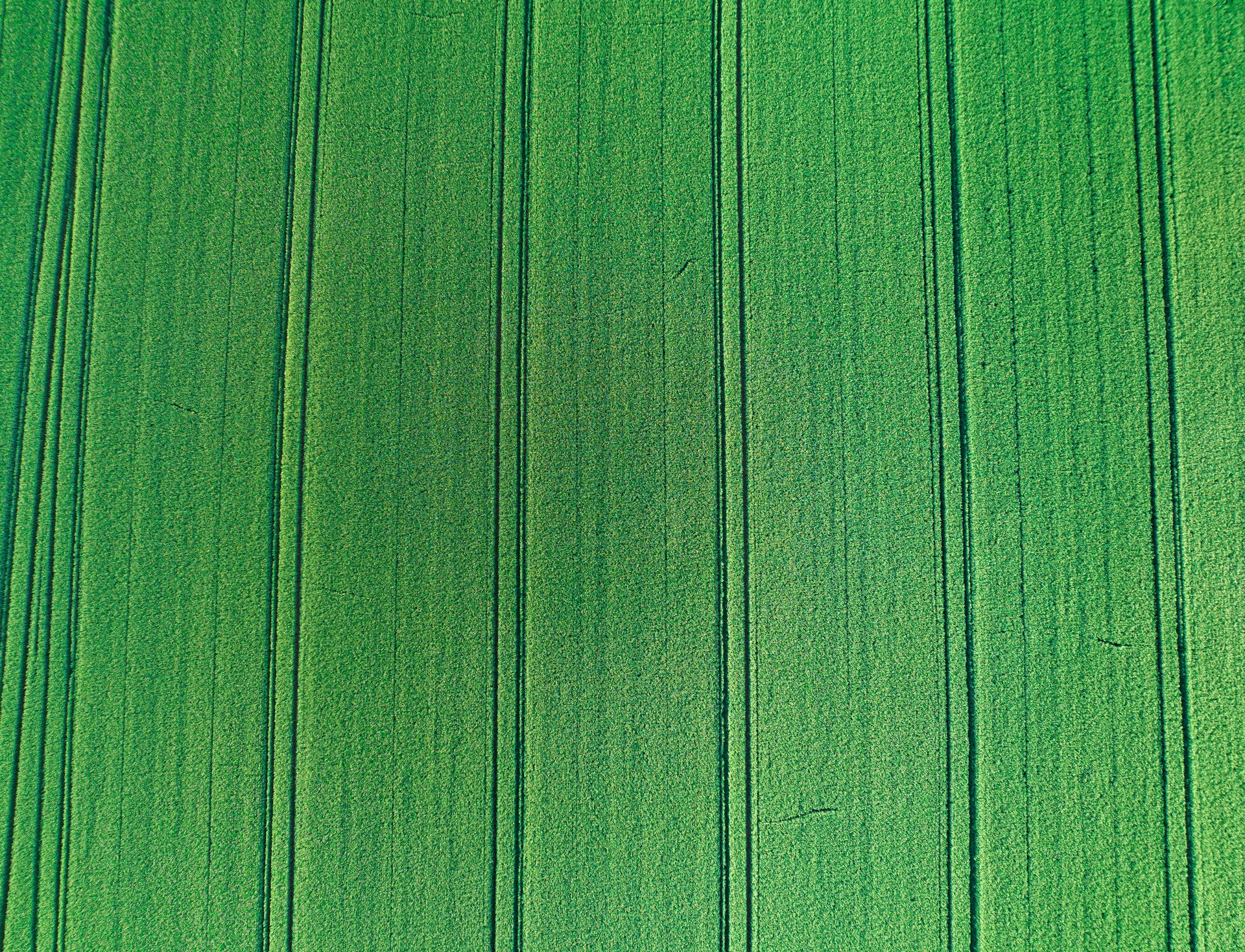 background pattern