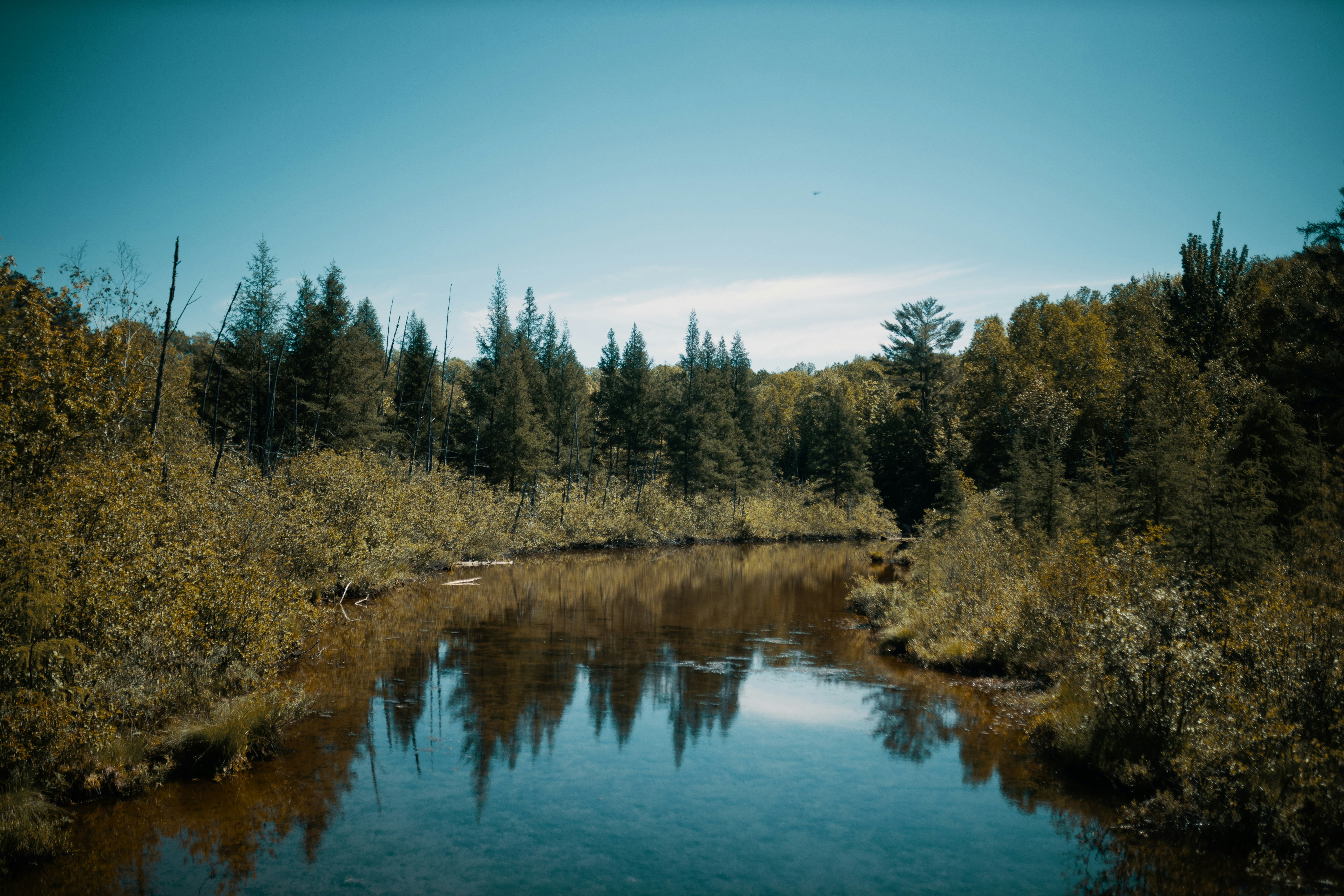 Photo by joshsorenson