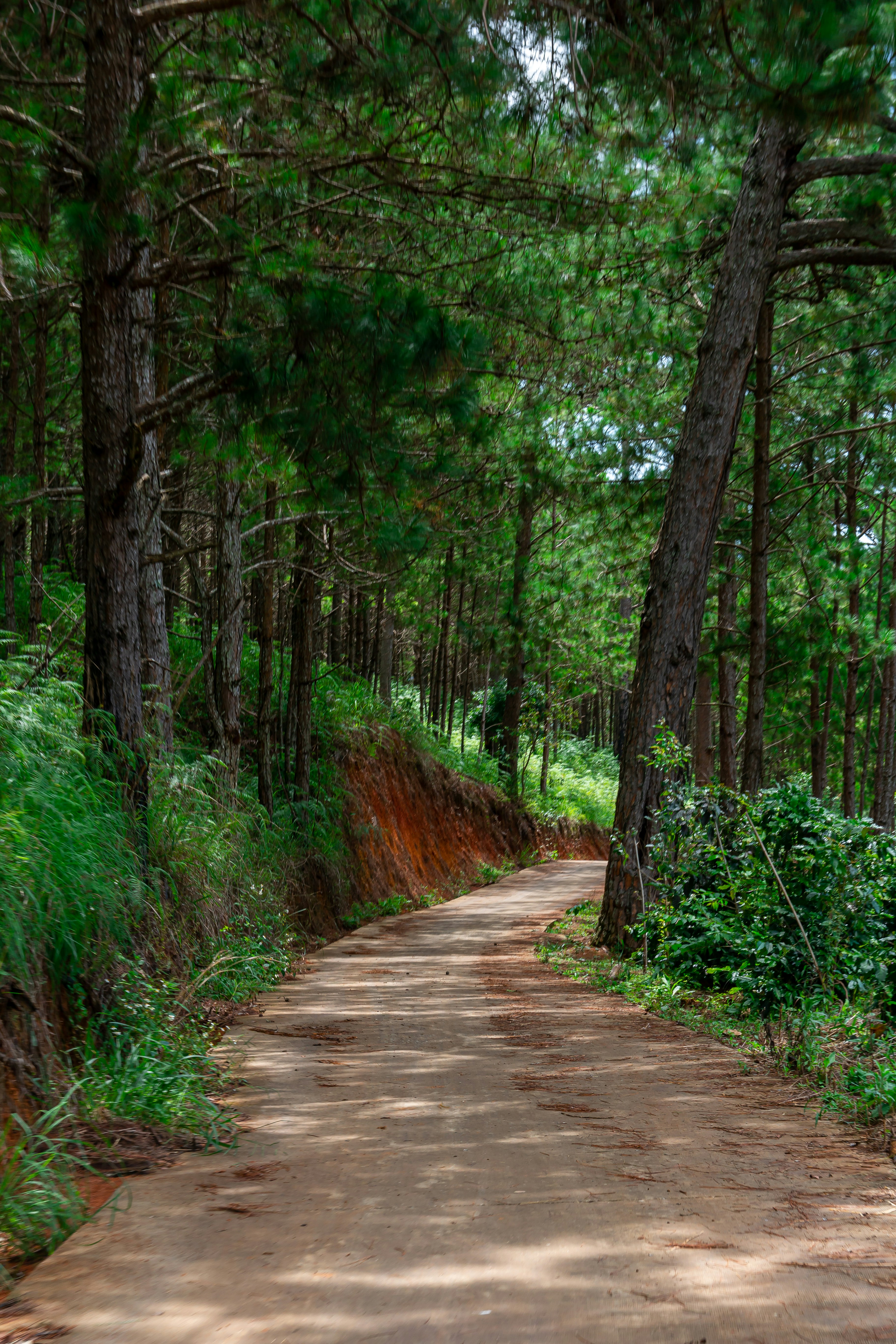 Photo by thuankaylias