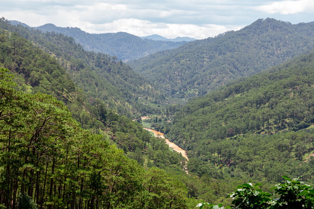 a river running through a valley