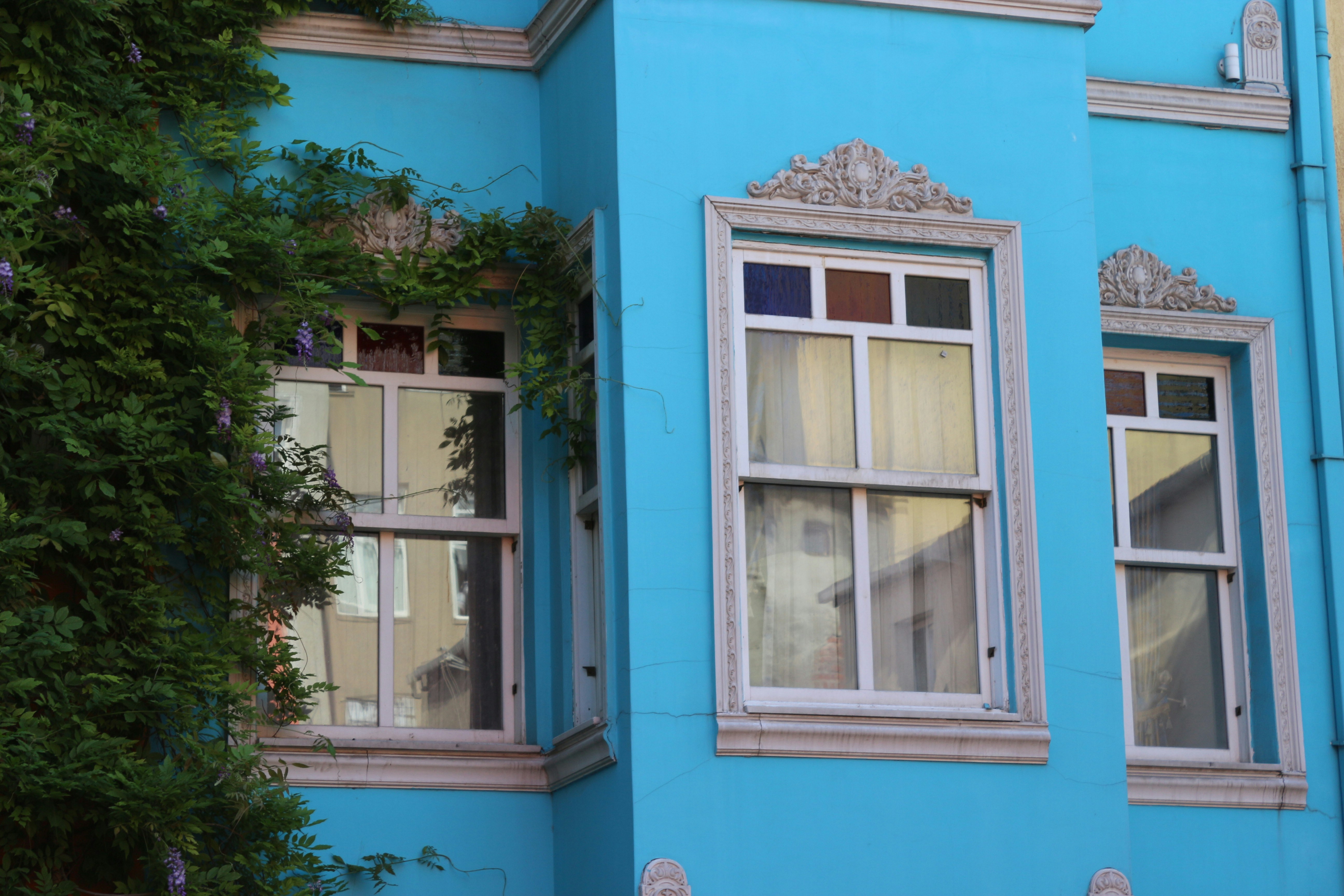 Photo by ebrarbostanci