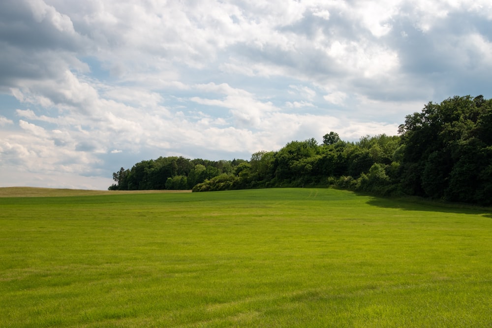 a large green field with trees in the background