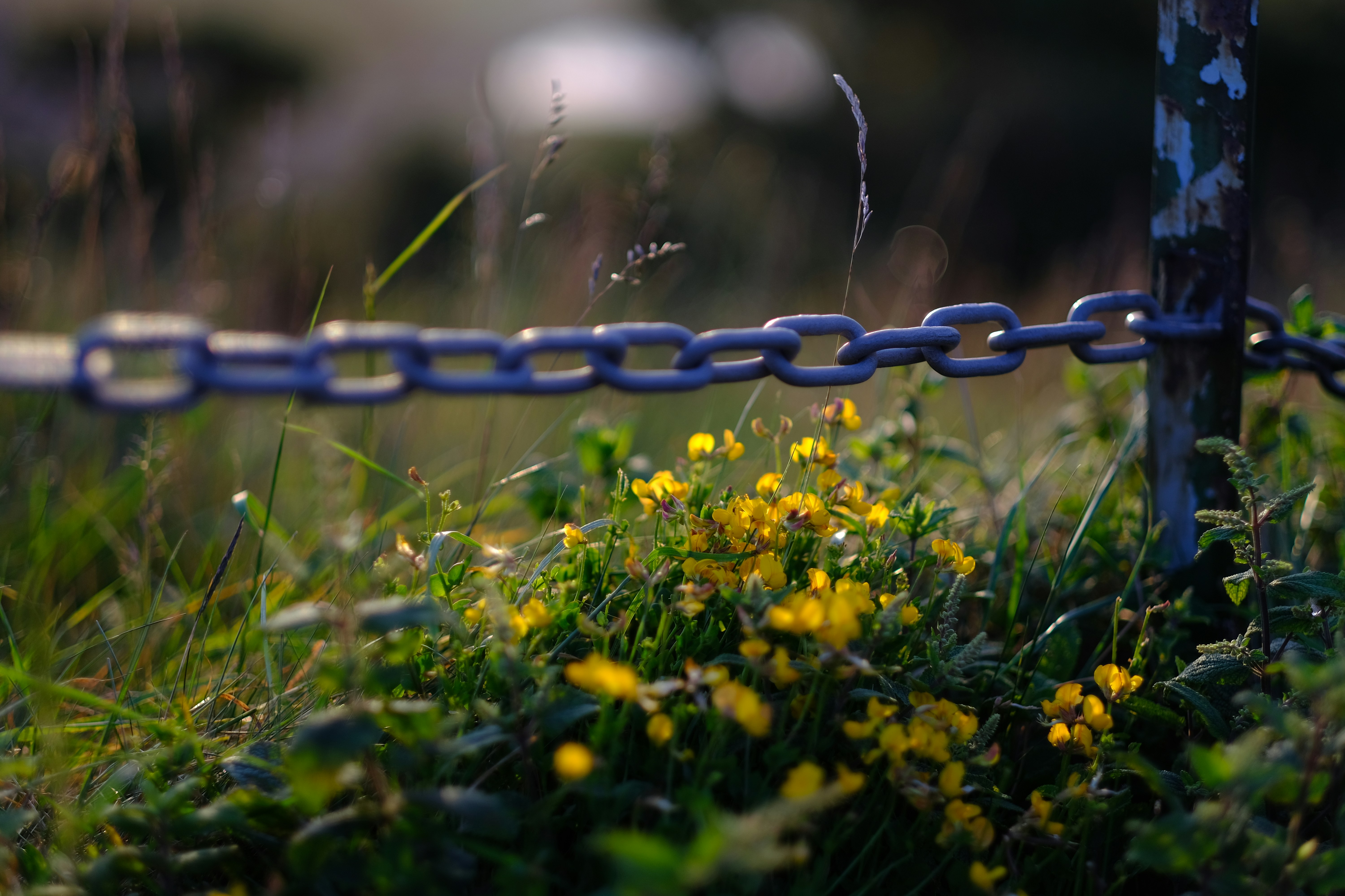 Photo by zaralazarov