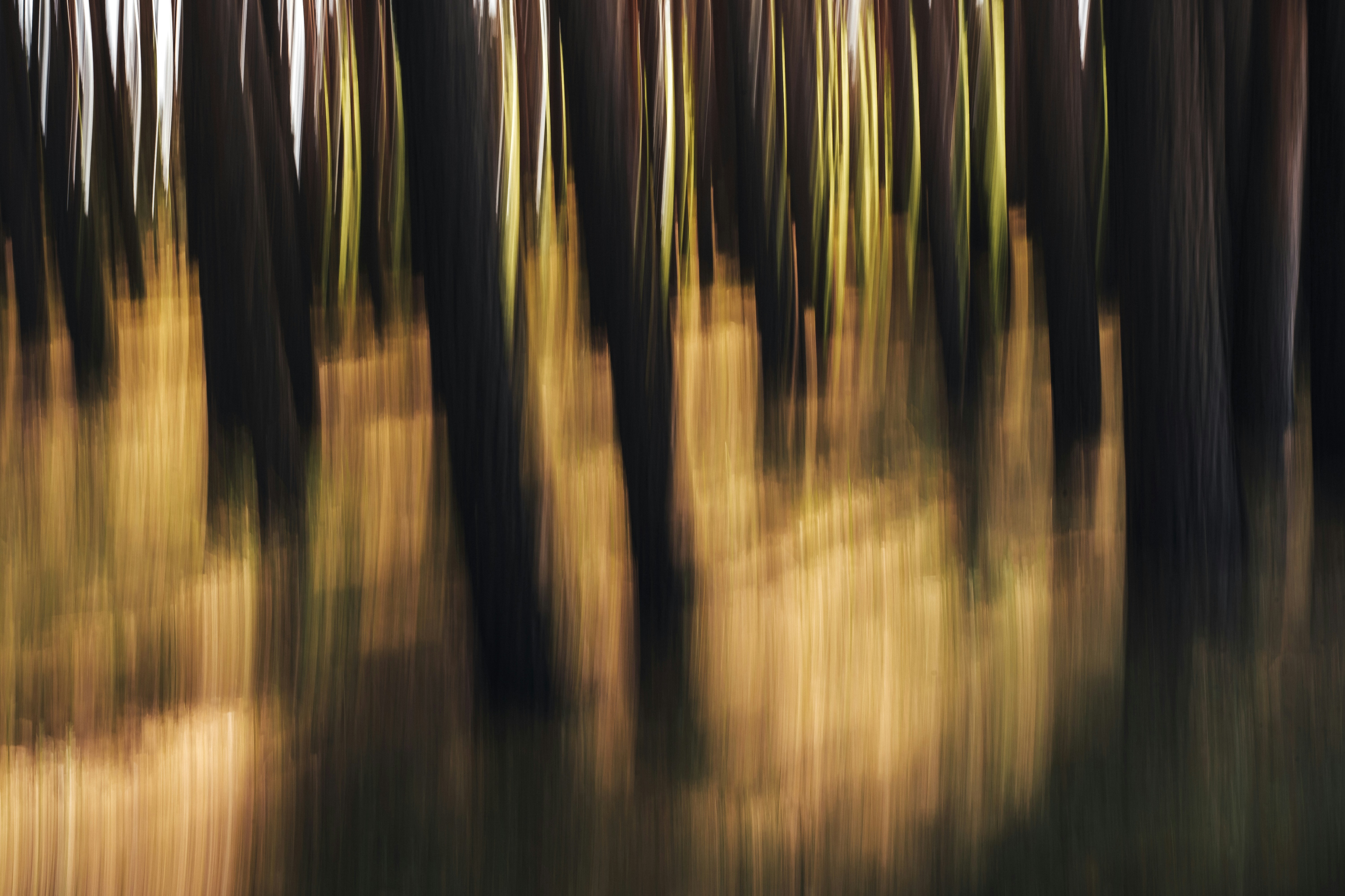 Photo by maksym_tymchyk