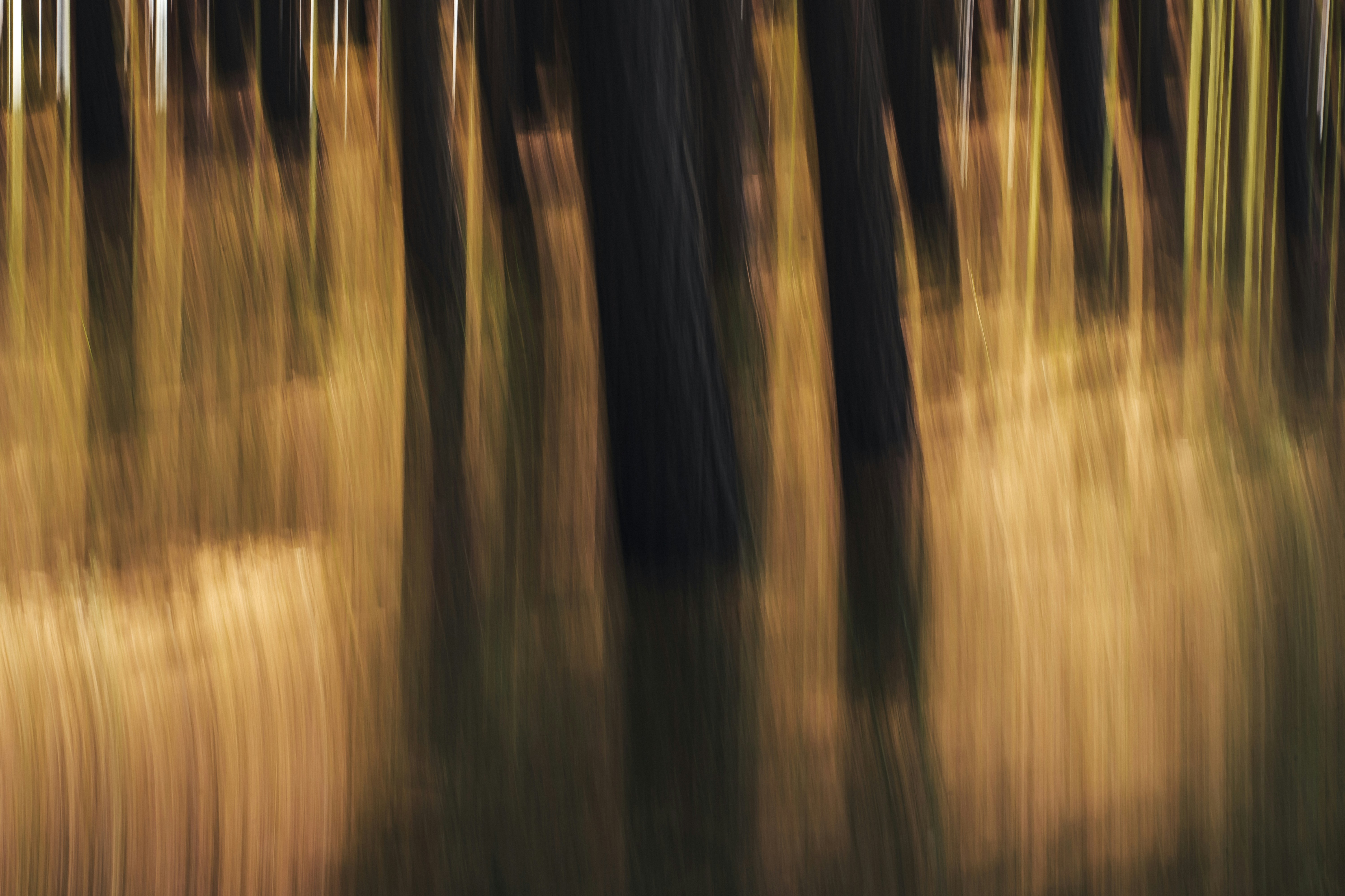 Photo by maksym_tymchyk