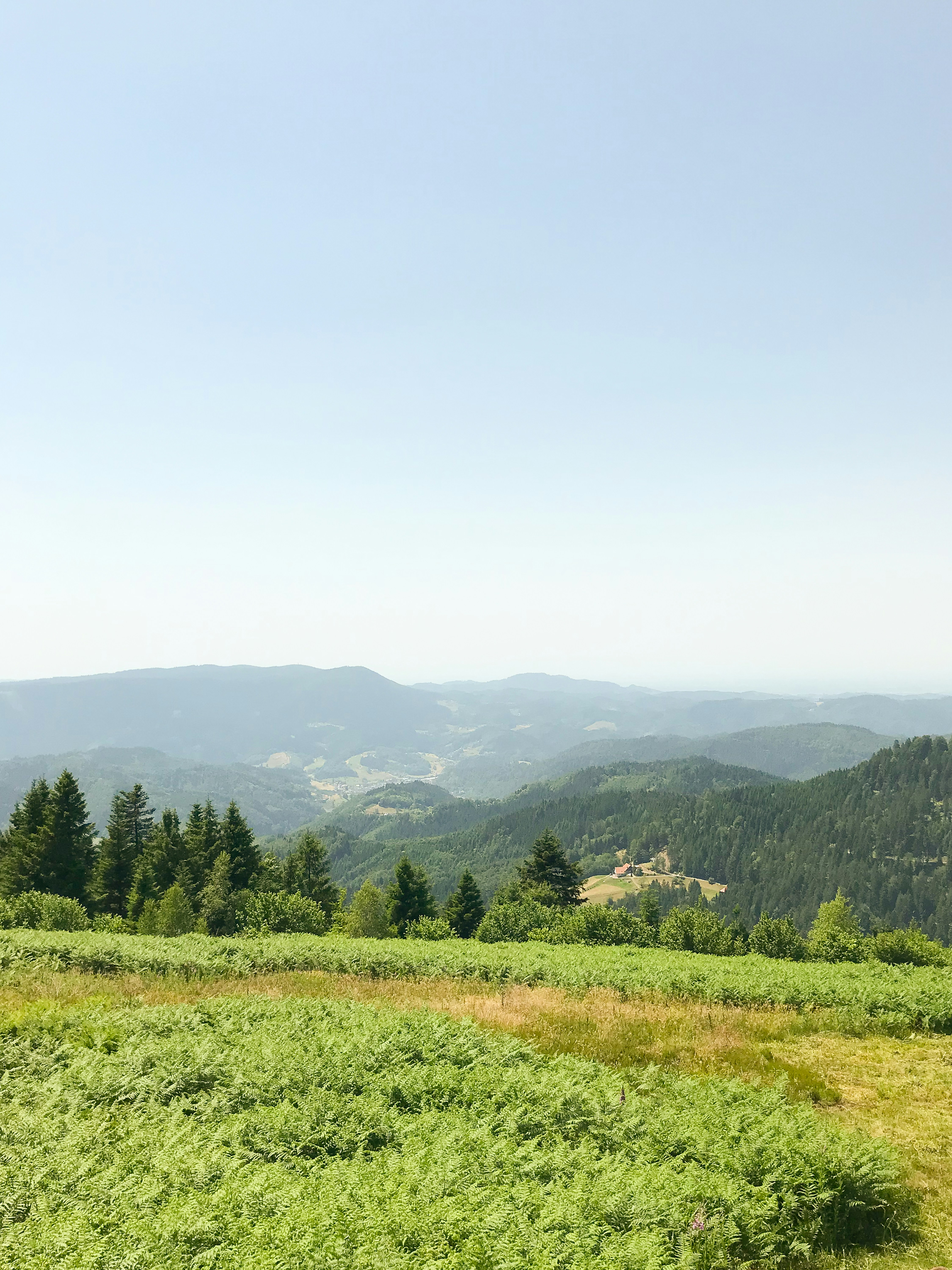 Photo by theprophotographer