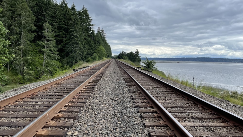 train tracks next to a body of water