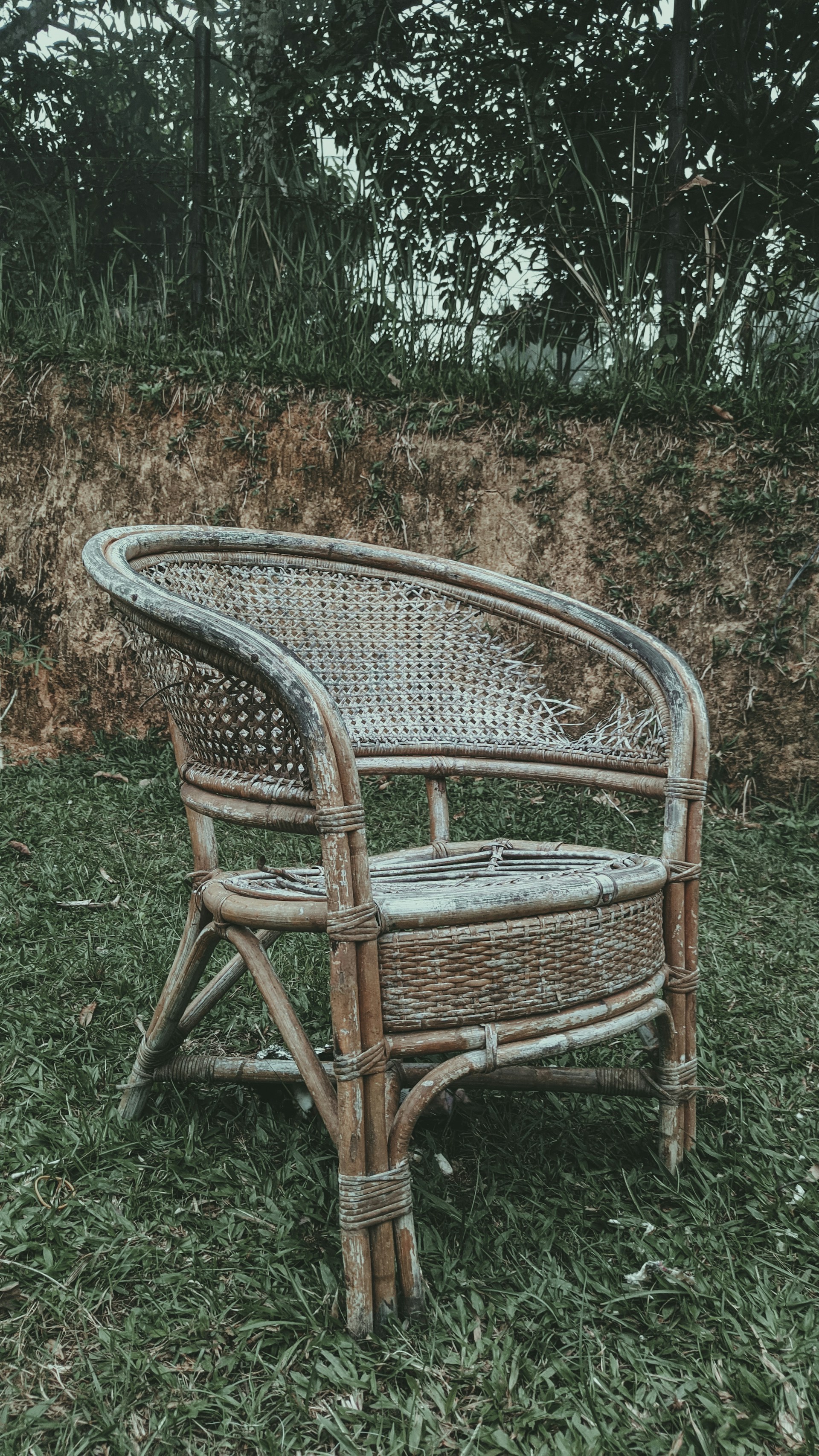 a chair in the grass