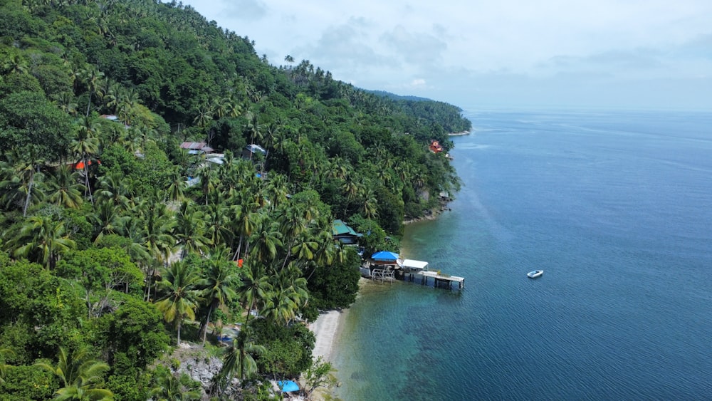 a beach with trees and buildings by it