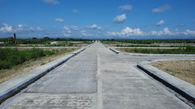 a road with plants on the side