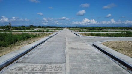 a road with plants on the side