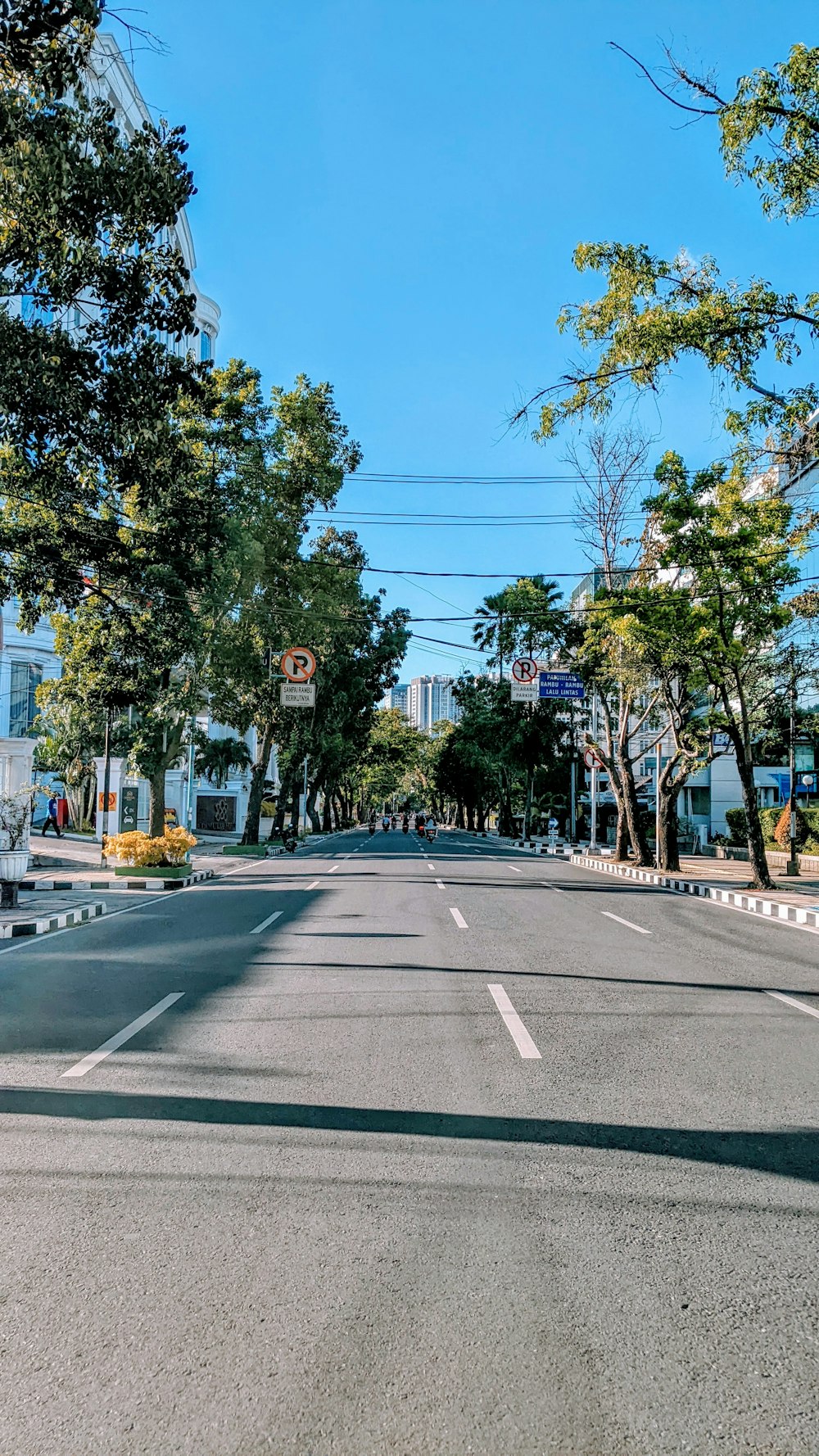 a street with trees and buildings