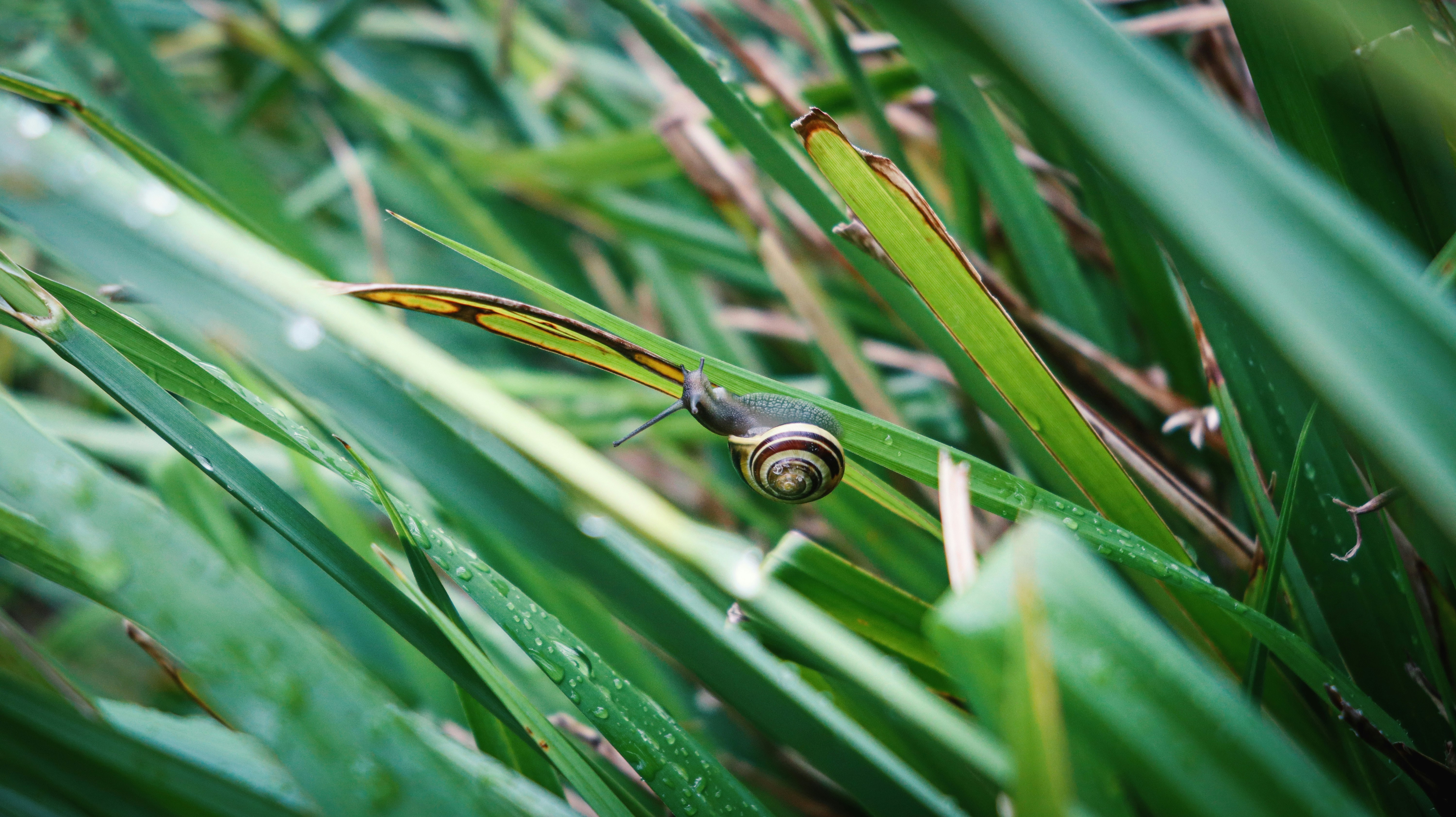 Photo by tolikrurac82