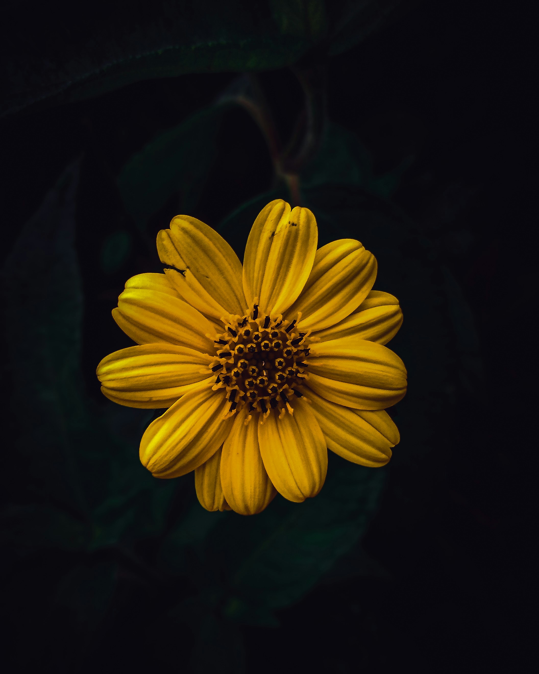 Photo by eric_s2di0s