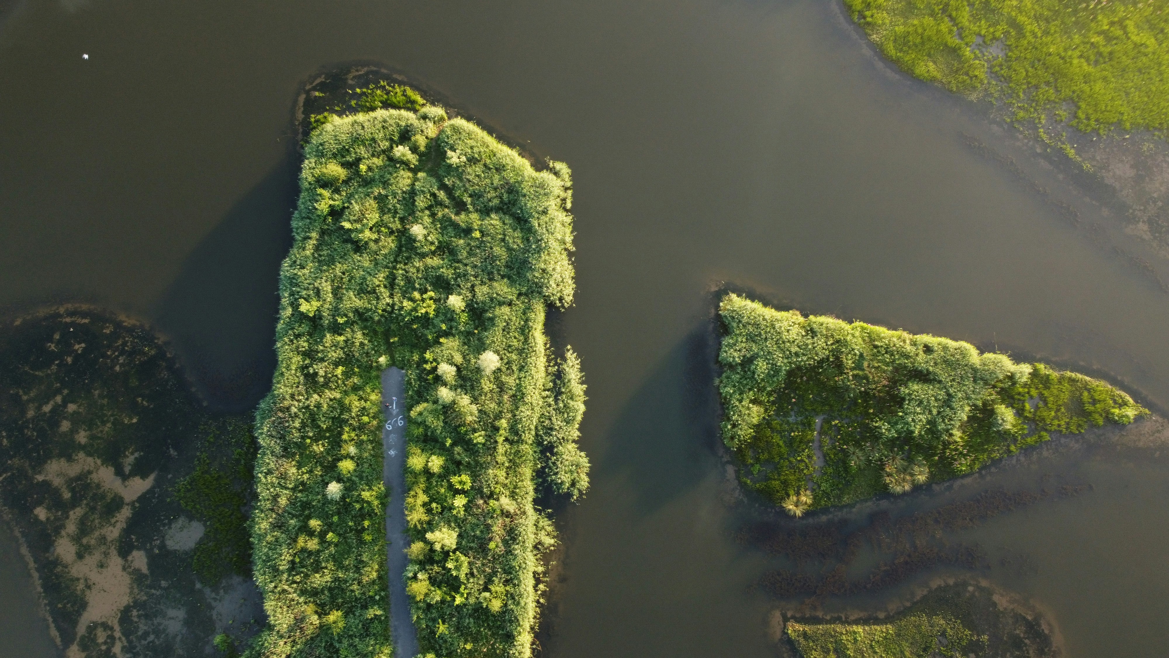 Photo by stanversluis