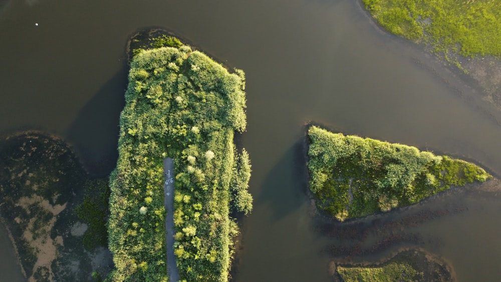 a river with a bridge over it