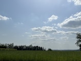 A scenic view of a green open land plot under a clear blue sky.