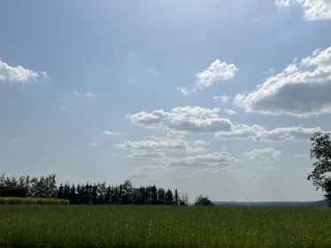 A scenic view of a green open field ready for development under a clear blue sky.
