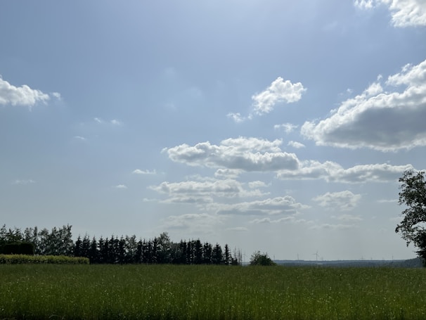 A scenic view of lush green fields under a clear blue sky.