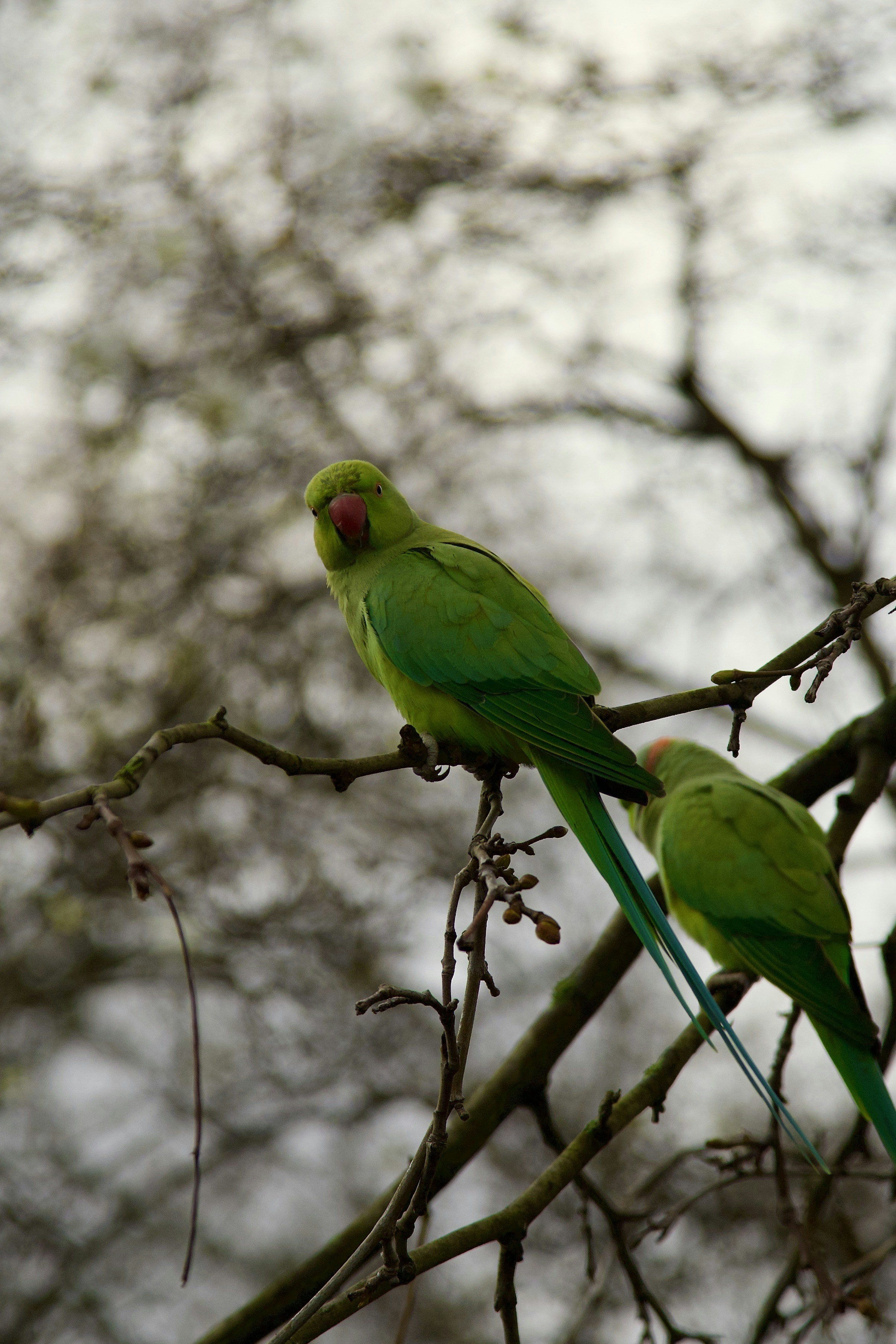 Photo by stockbirken