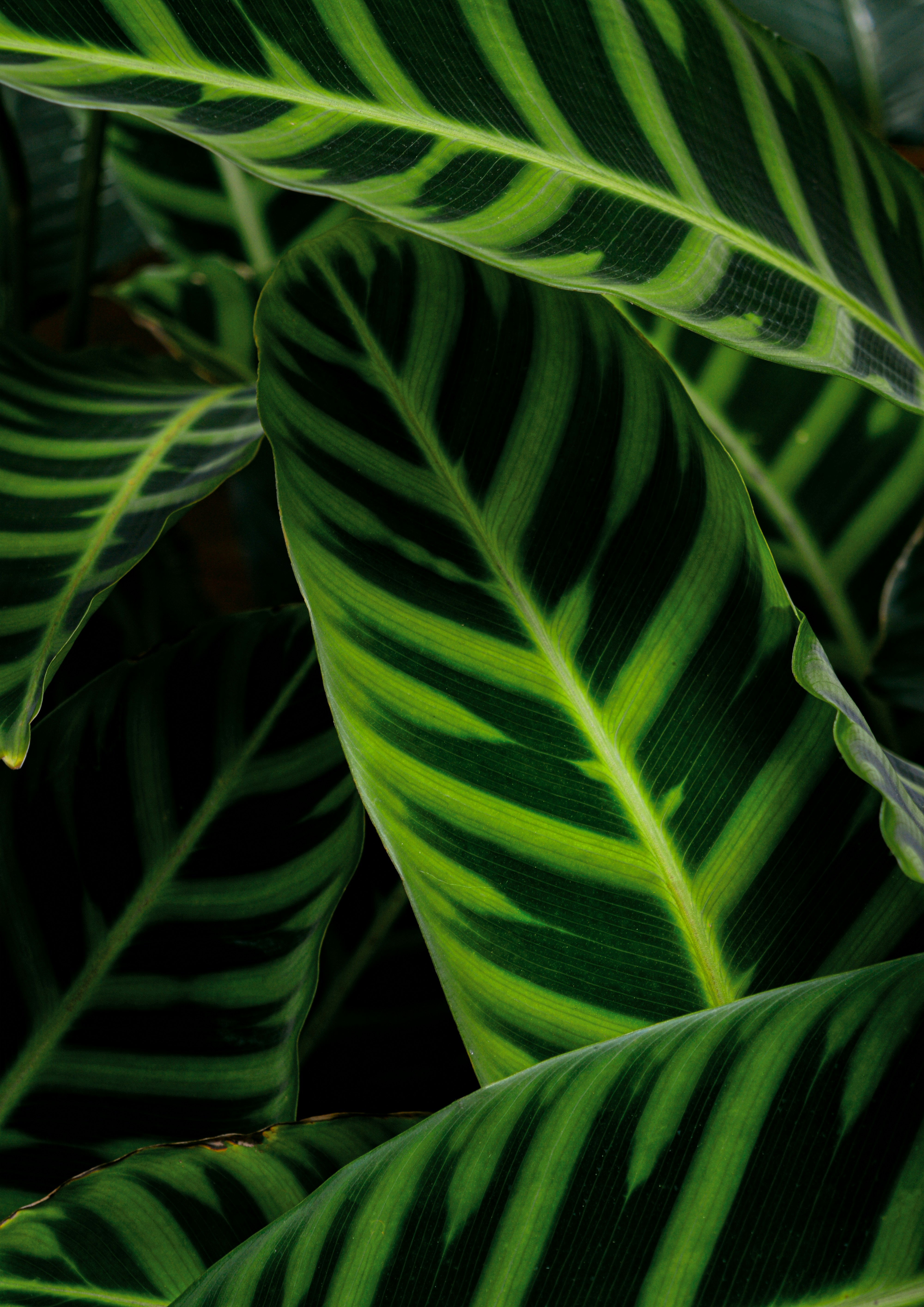 Photo by aureliaferreira