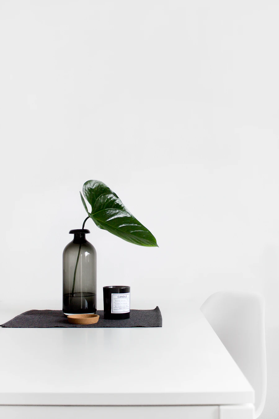 Minimal bir evde bitkilerle yaşamak