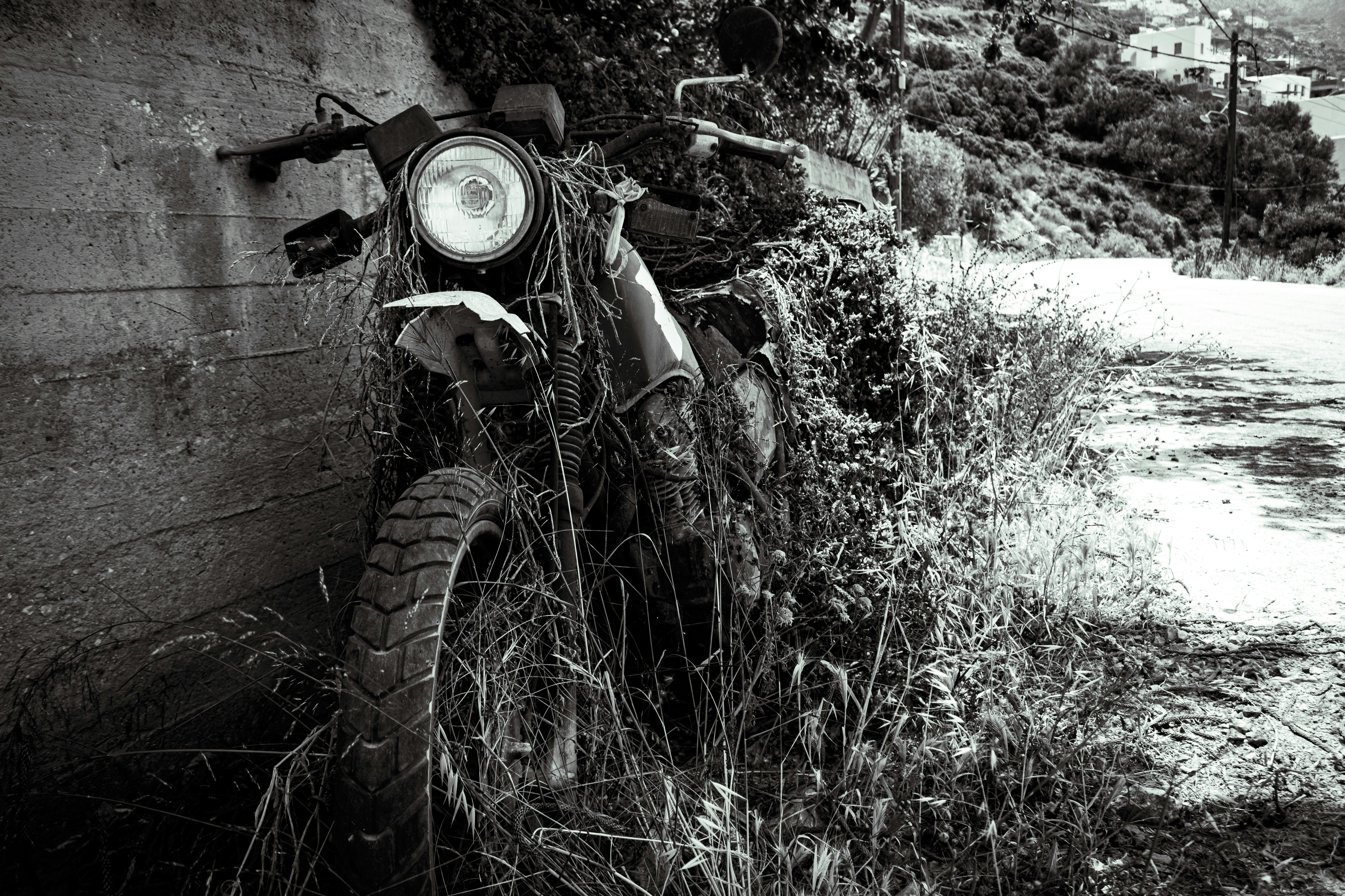 Photo by sebacorti