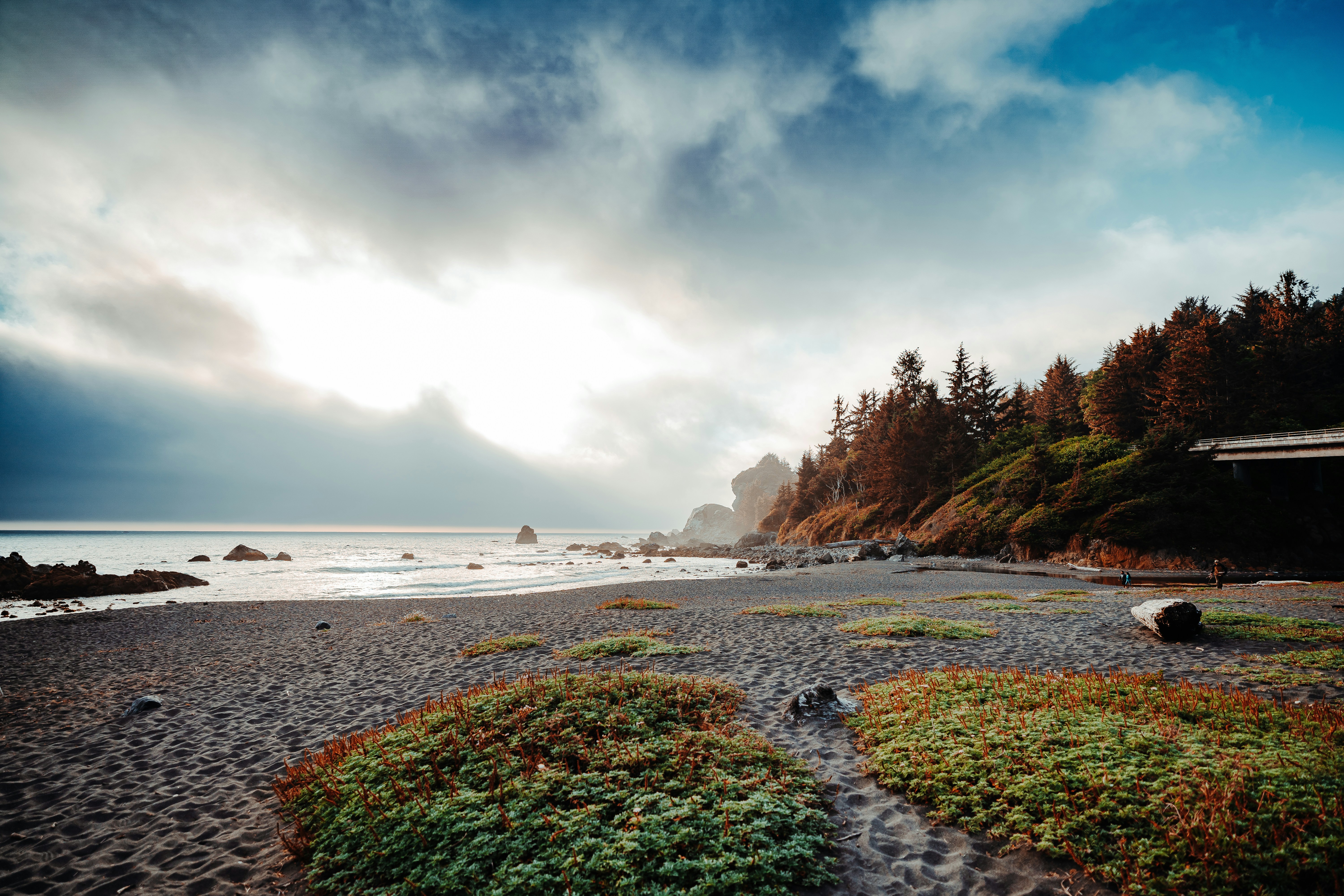 A beach with a stream and trees photo – Free Panoramic Image on Unsplash