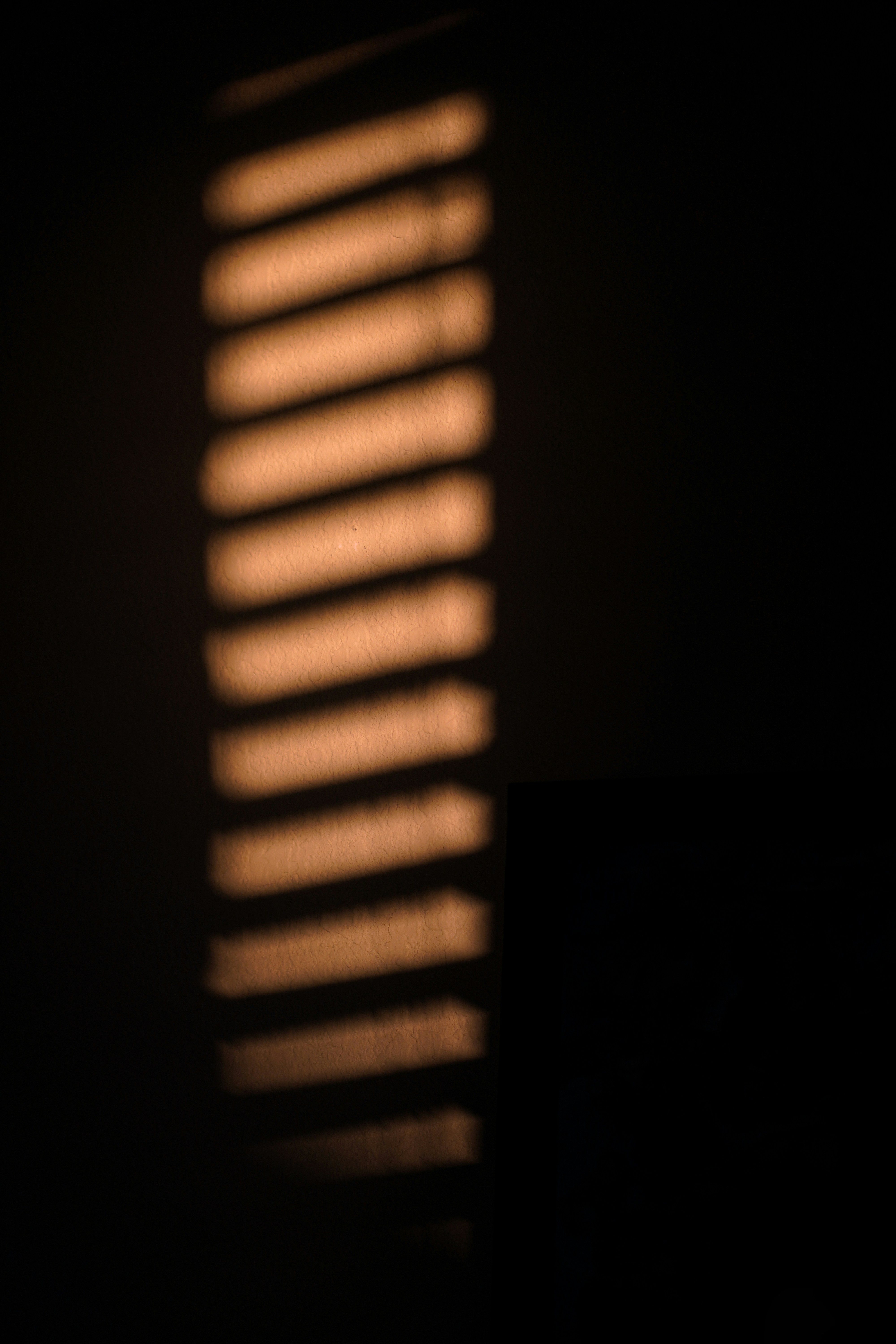 Photo by thinhdopham