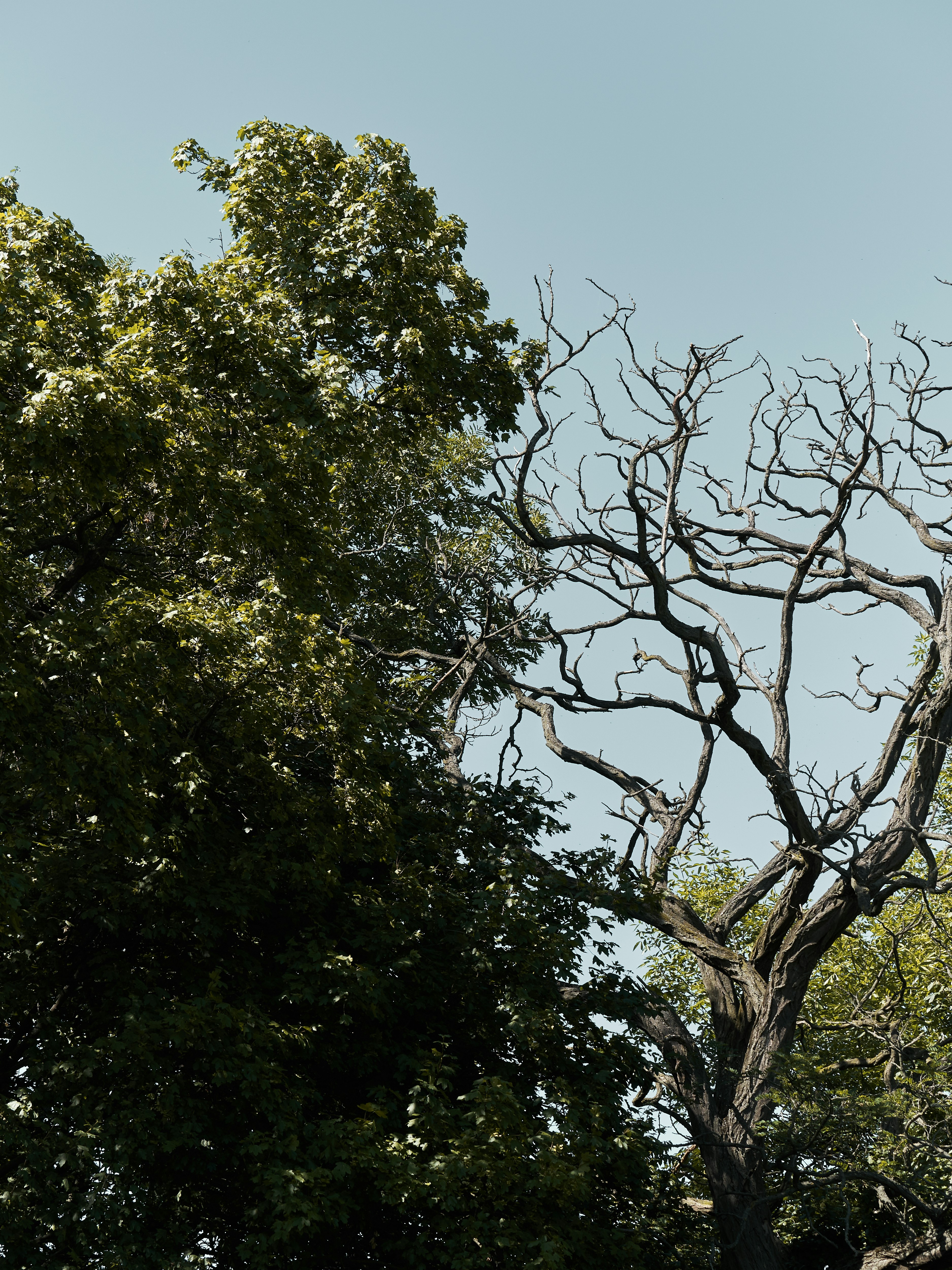 Photo by jkalina