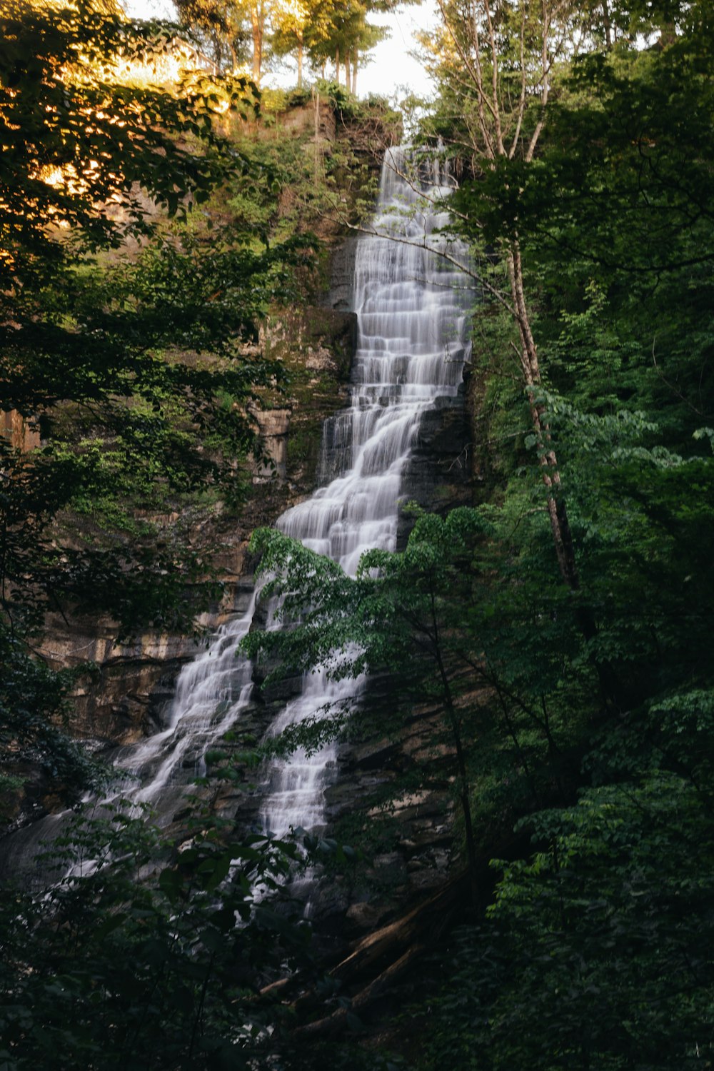 a waterfall in a forest