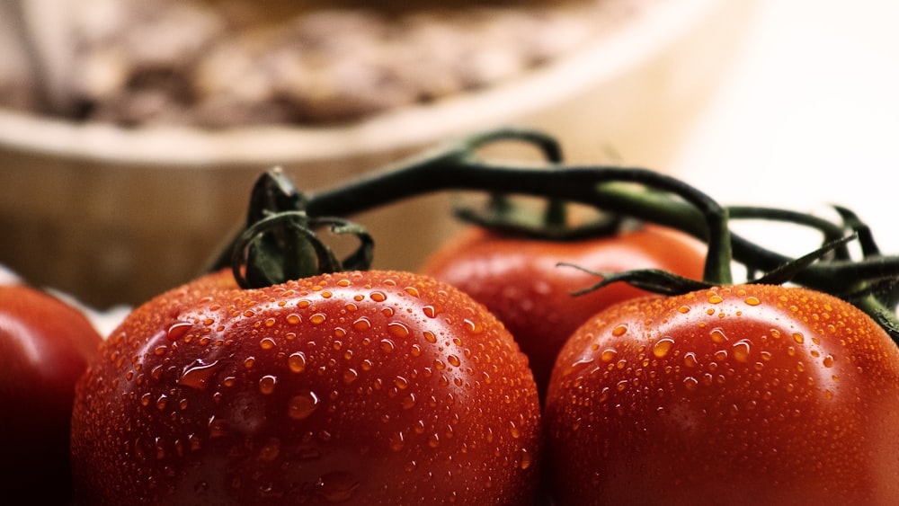 a group of tomatoes