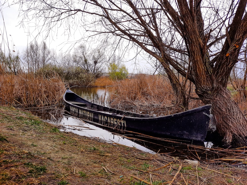 Un barco en el agua