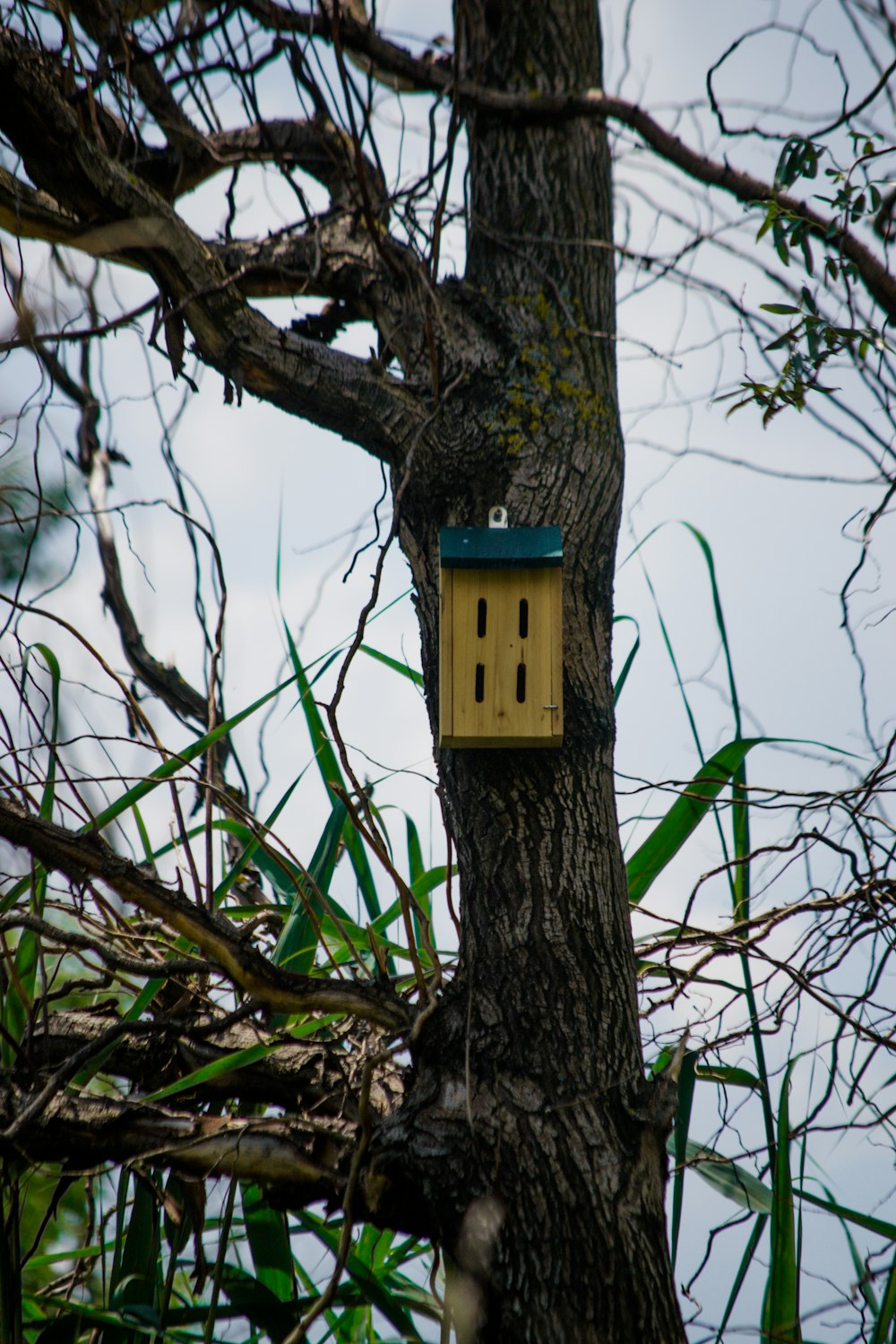 a yellow birdhouse on a tree