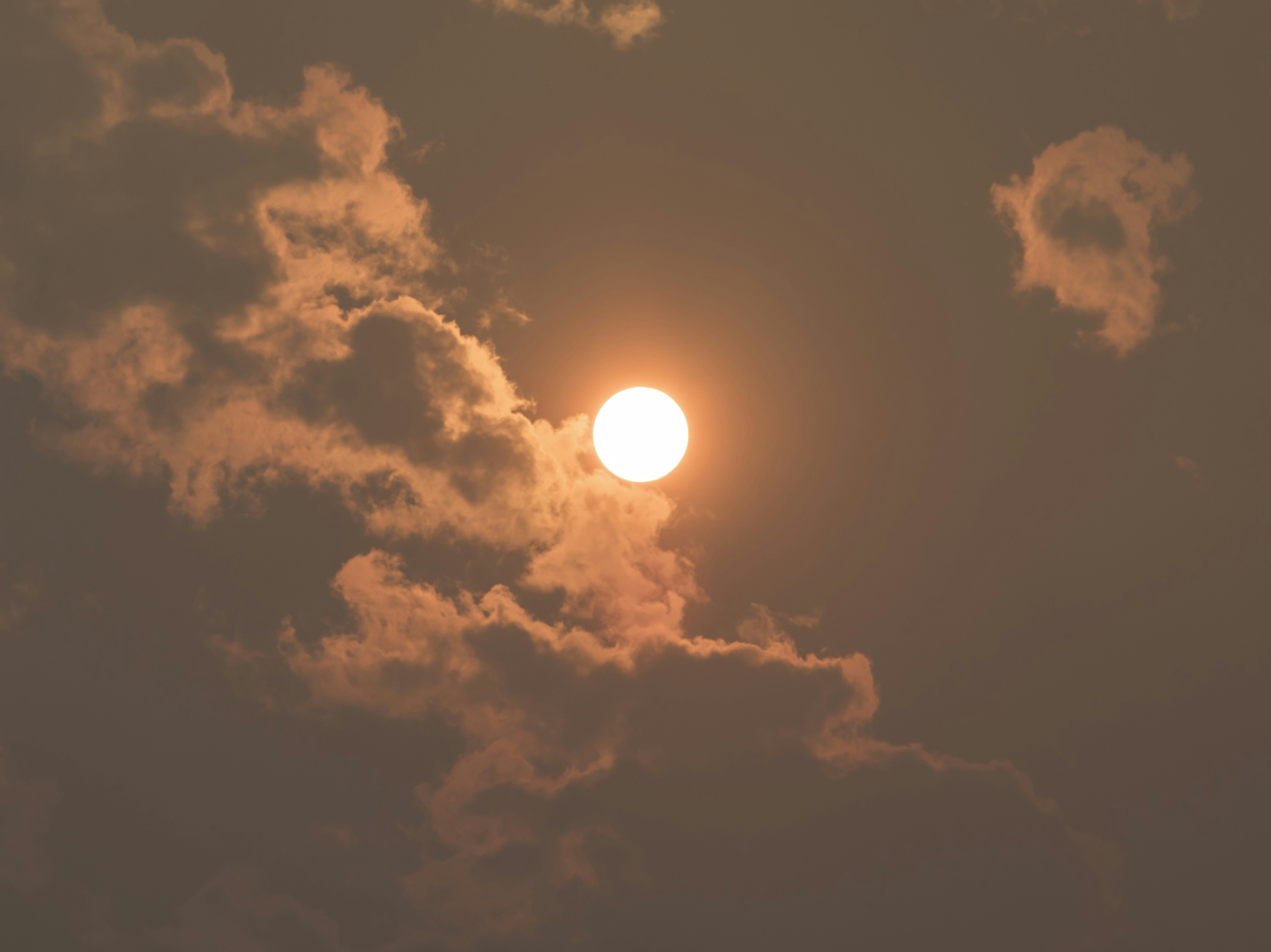 Photo by leo_visions_