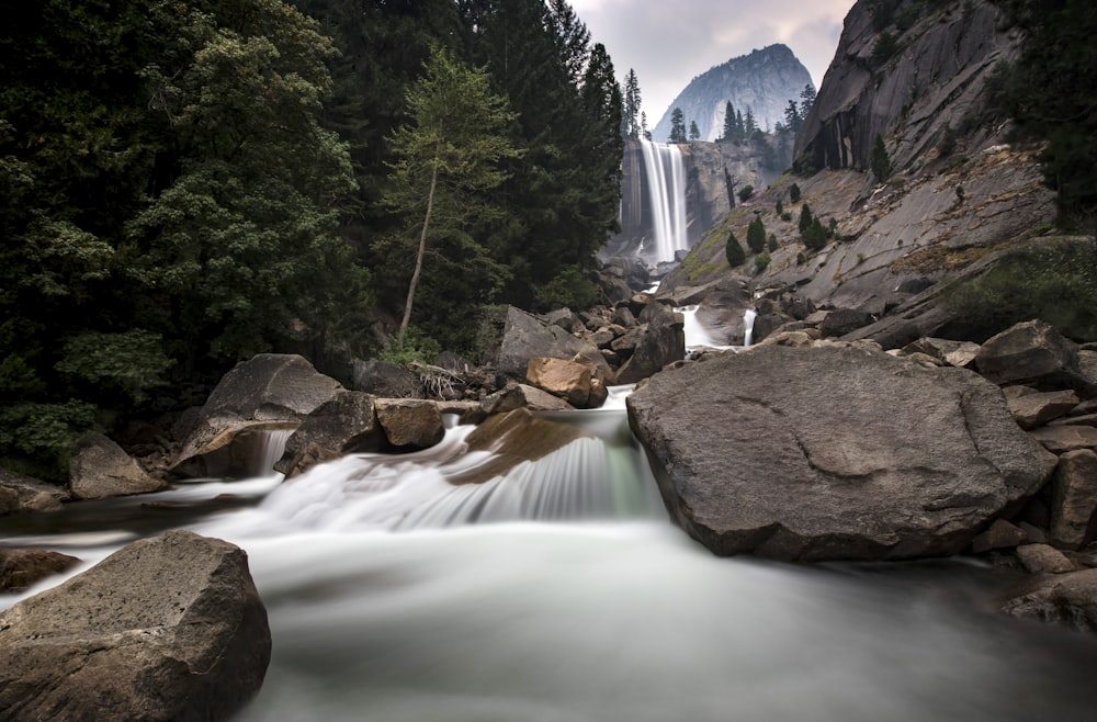Vernal Fall in a forest