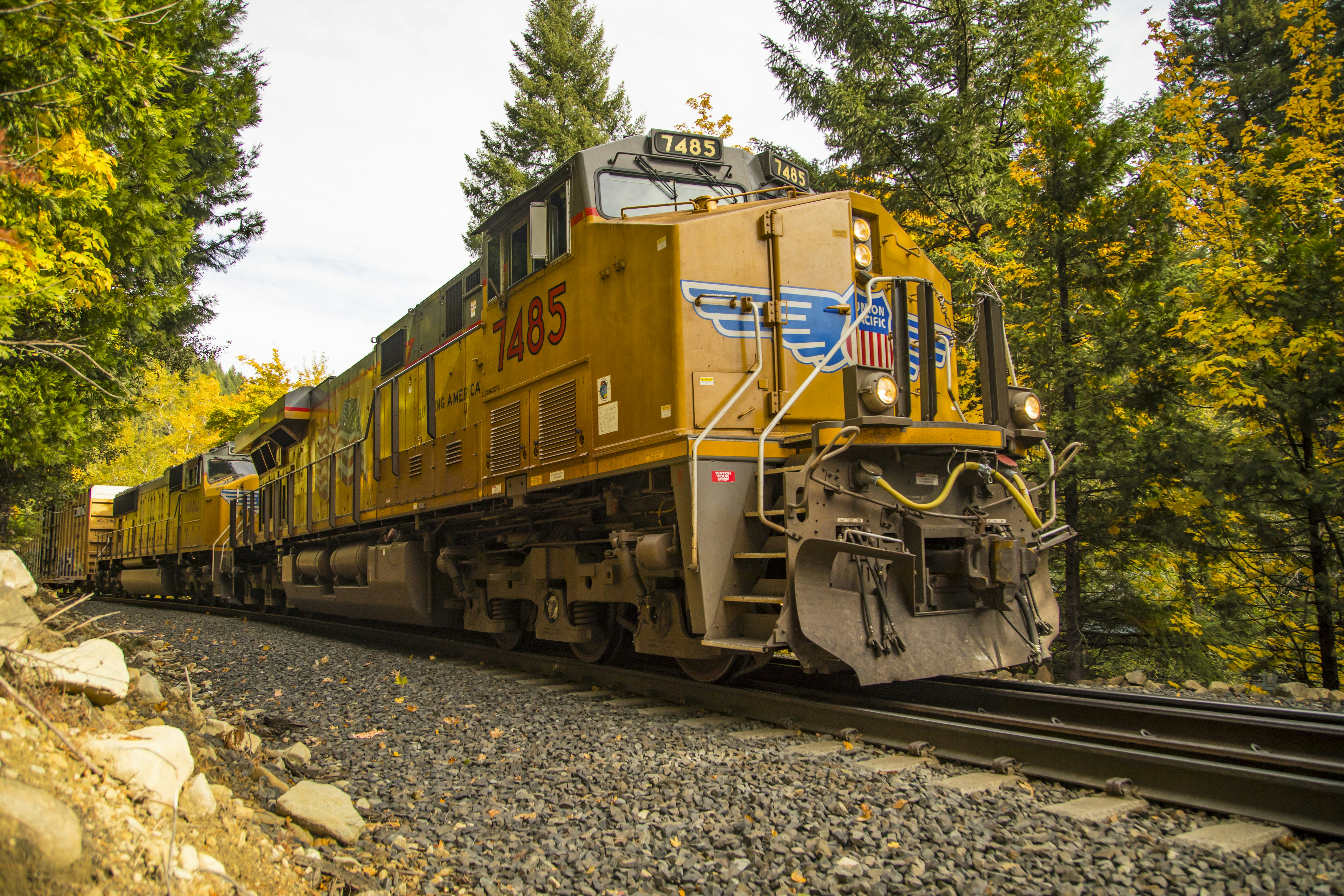 Photo by leo_visions_