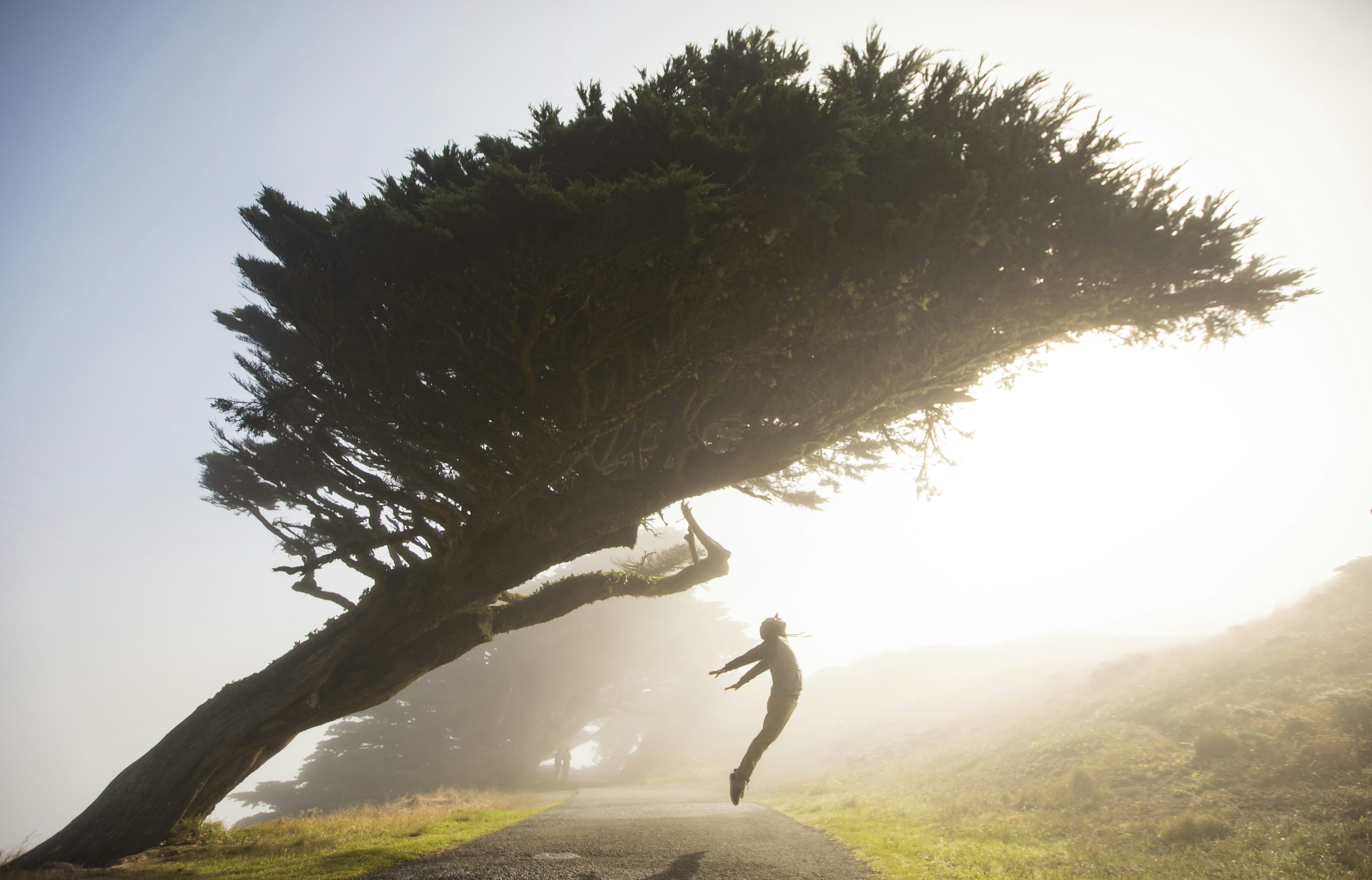 A man running under a tree photo – Free Grey Image on Unsplash