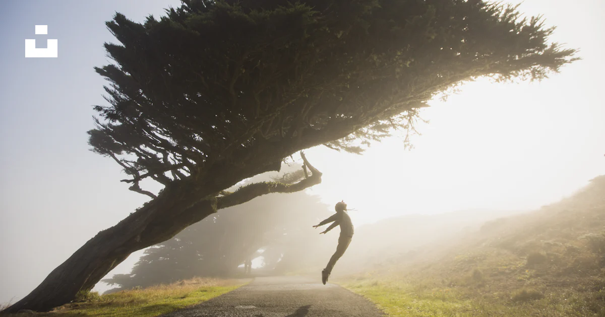 A man running under a tree photo – Free Grey Image on Unsplash