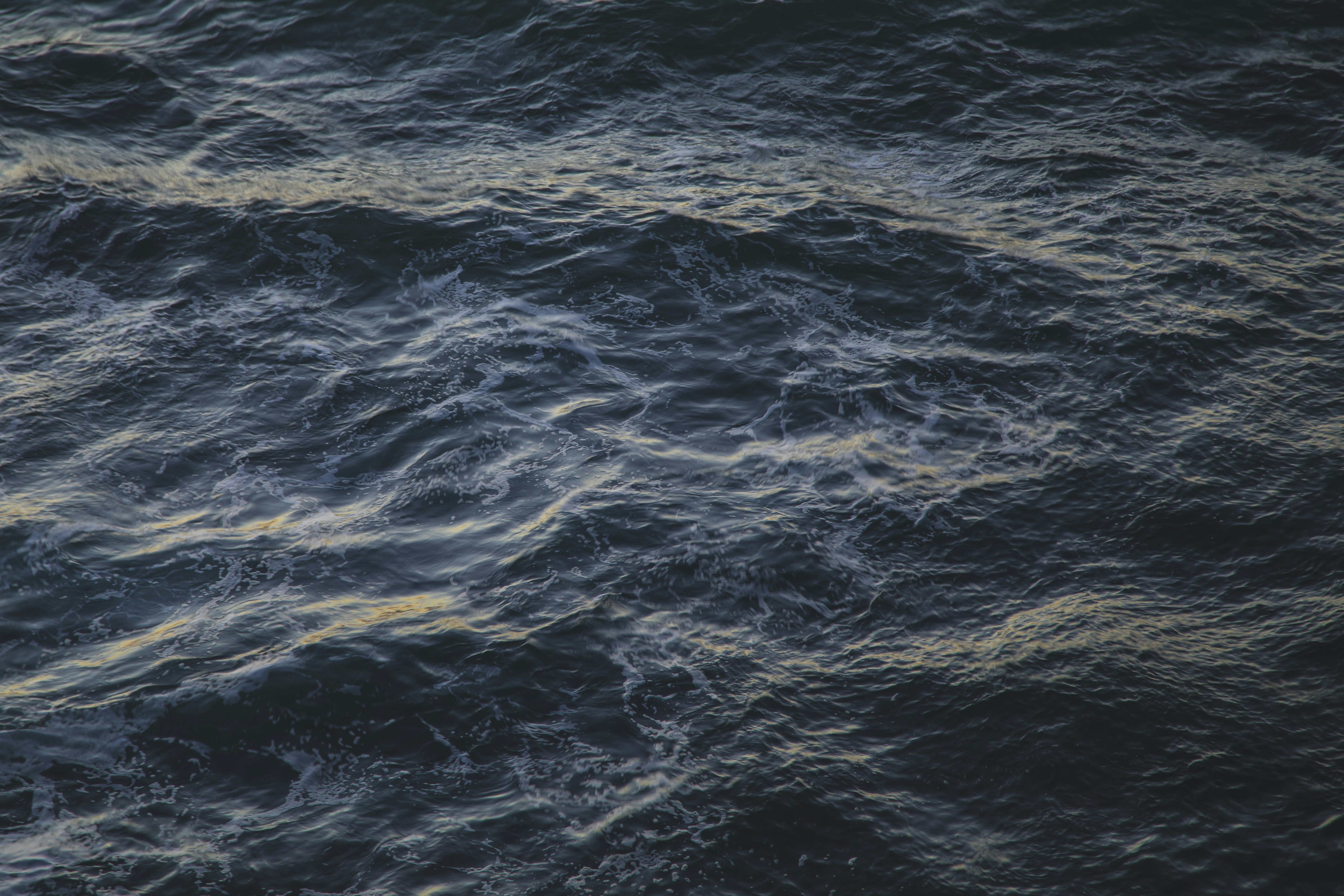 Photo by leo_visions_