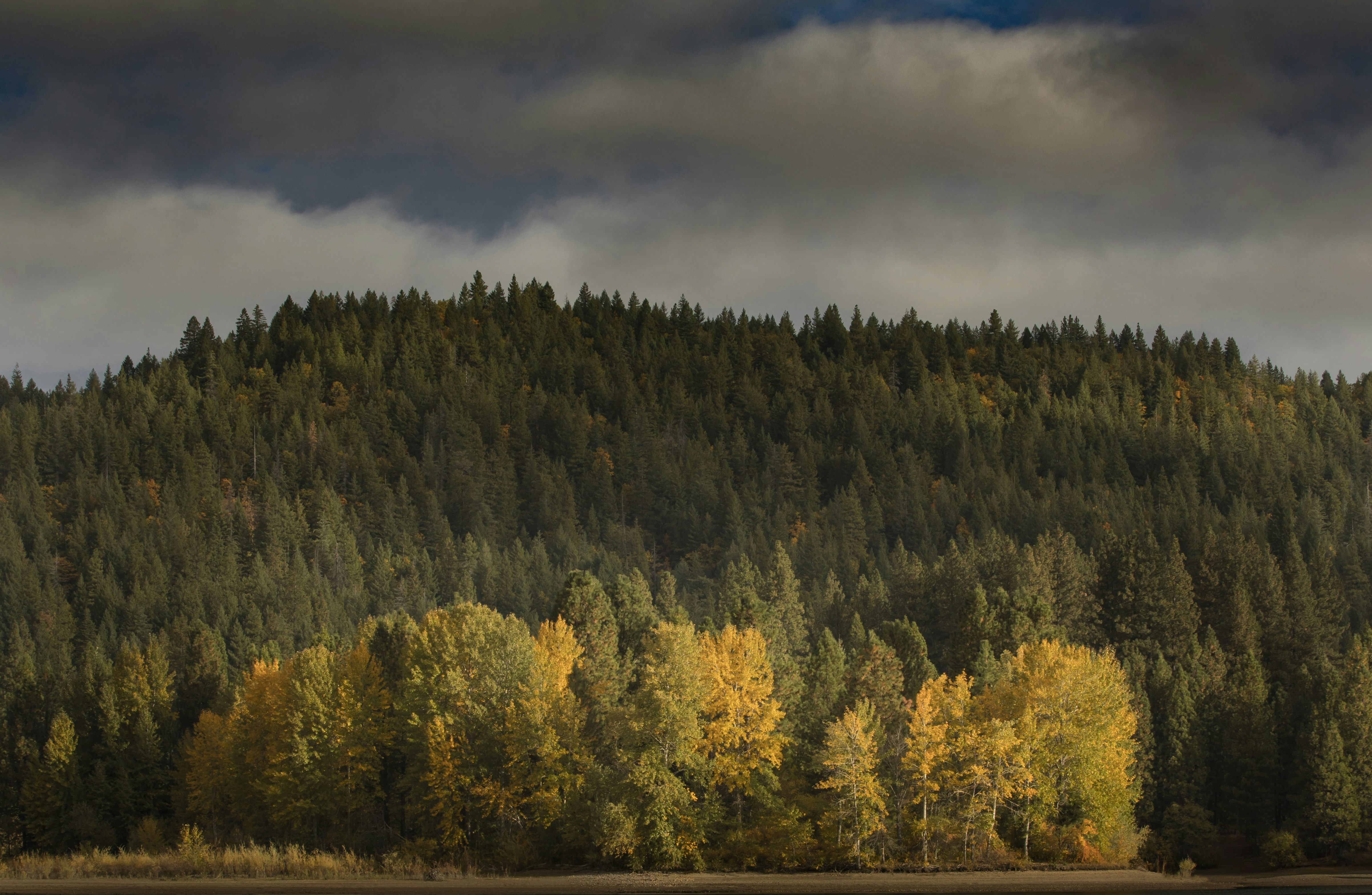 Photo by leo_visions_