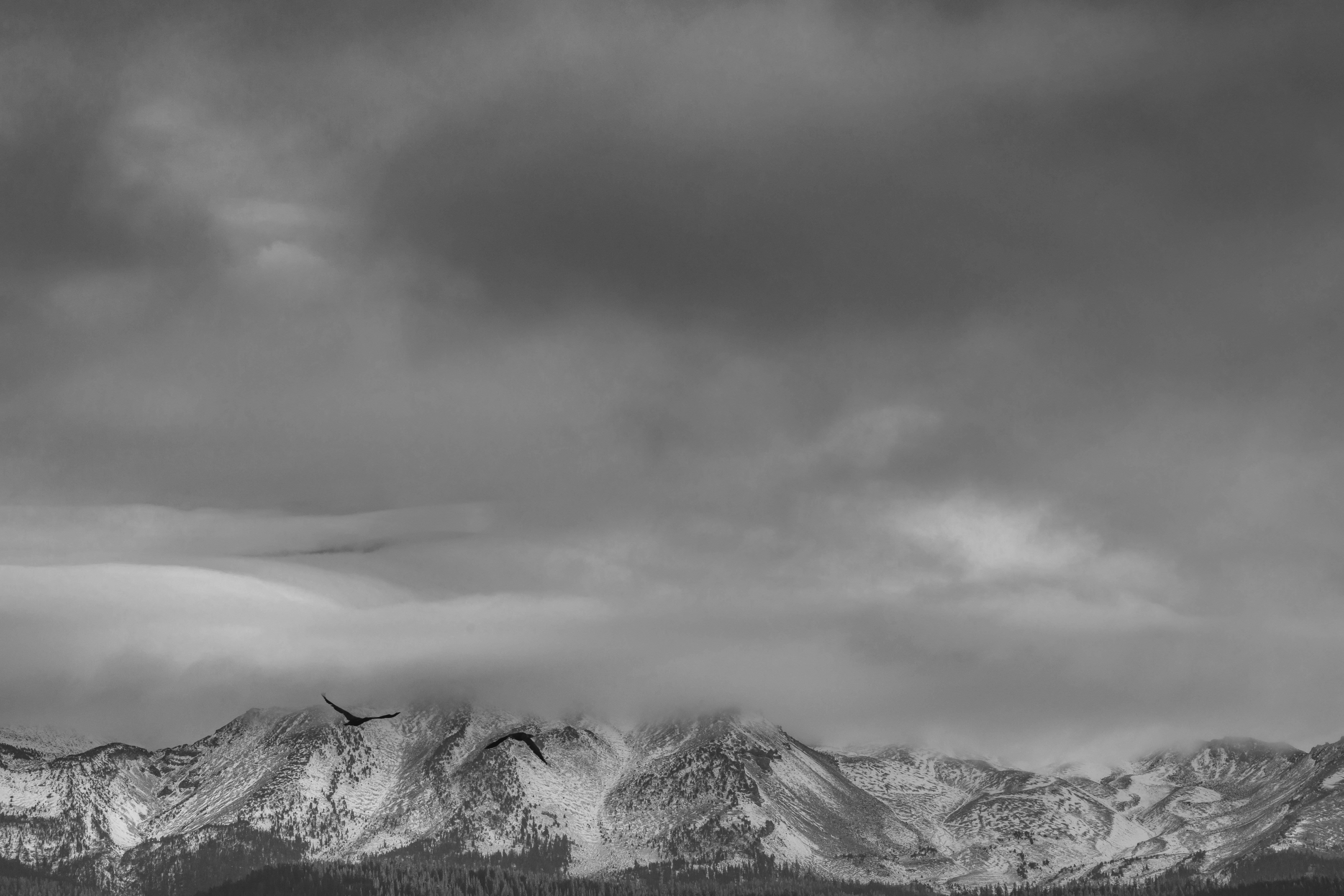 Photo by leo_visions_