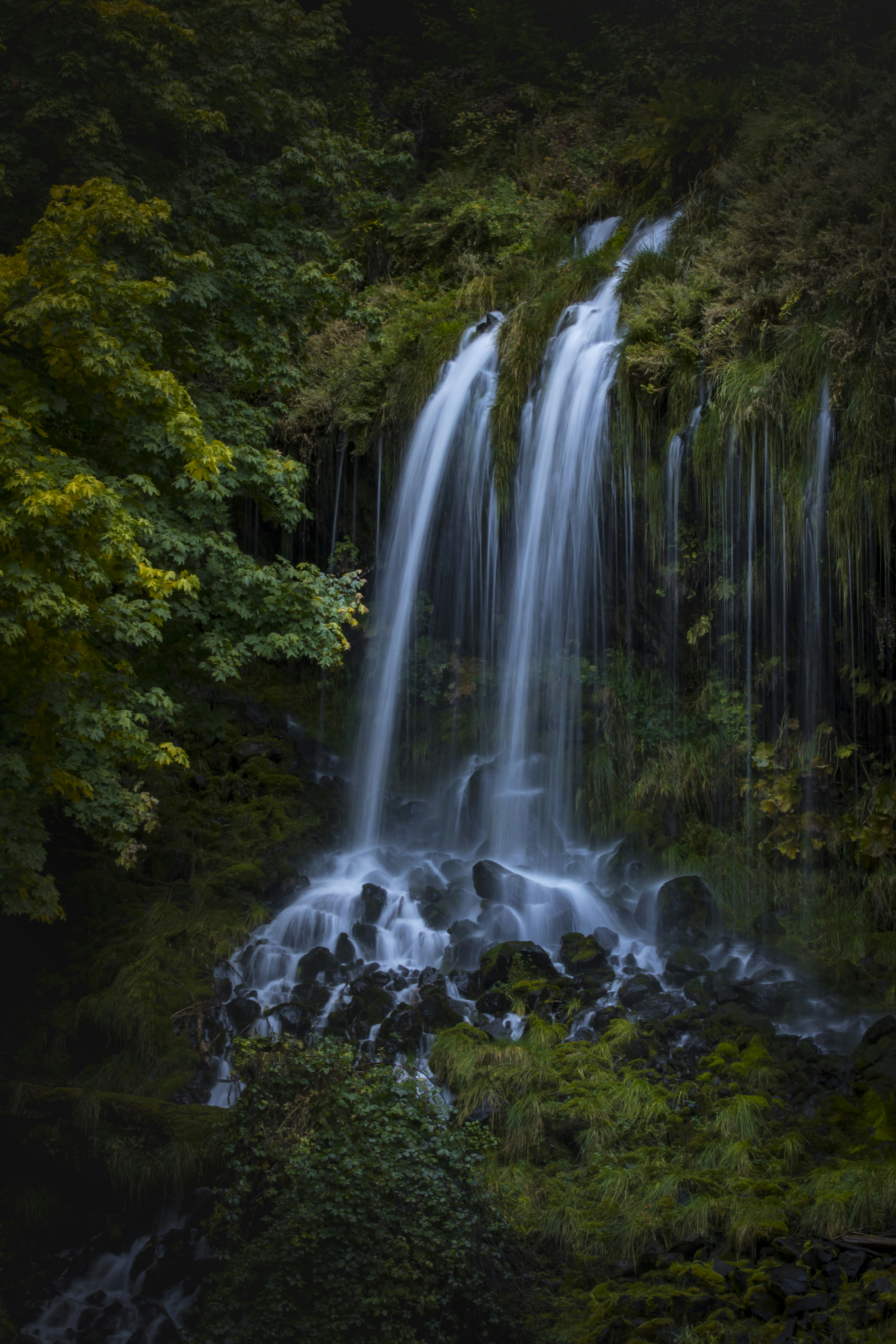 Photo by leo_visions_