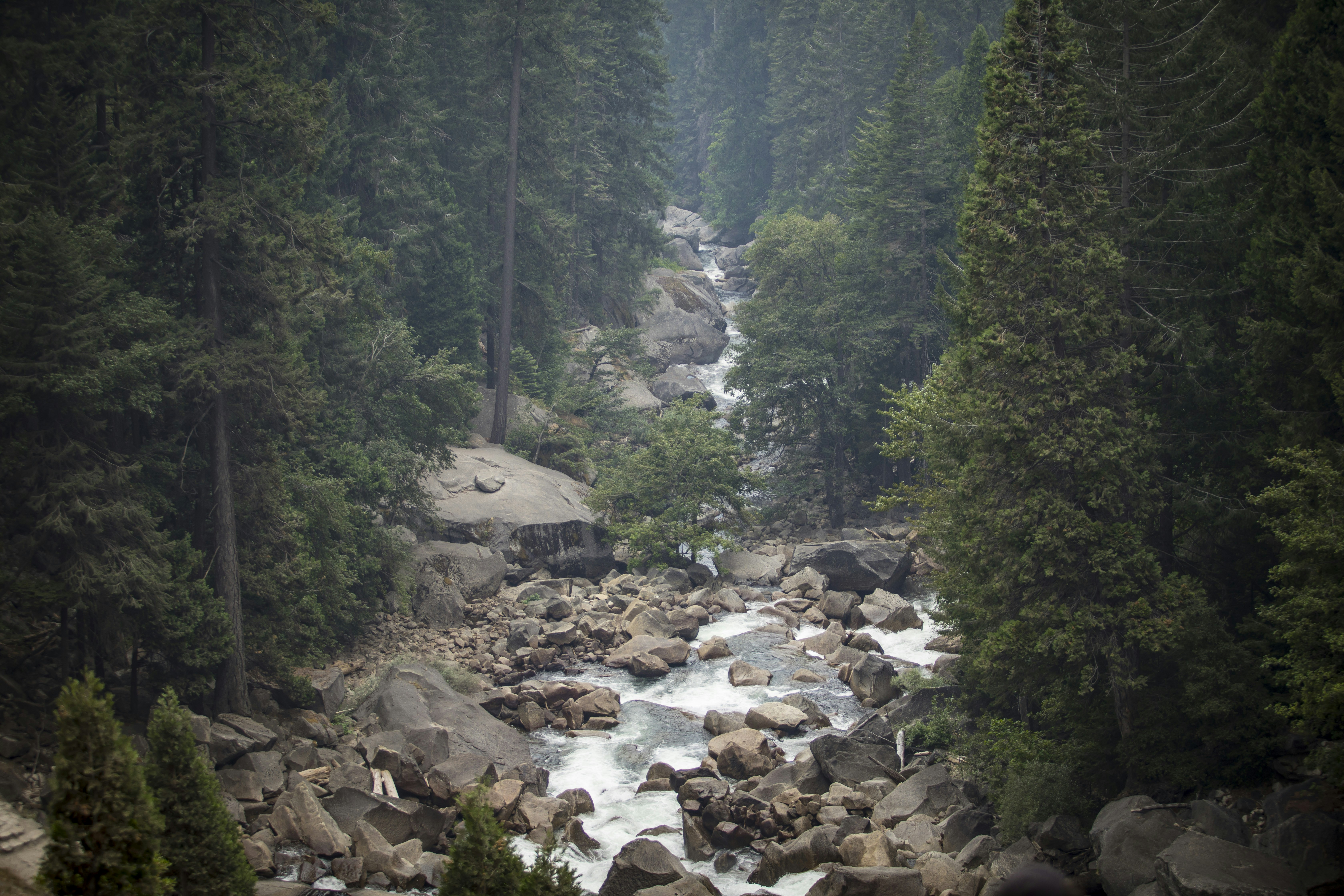 Photo by leo_visions_