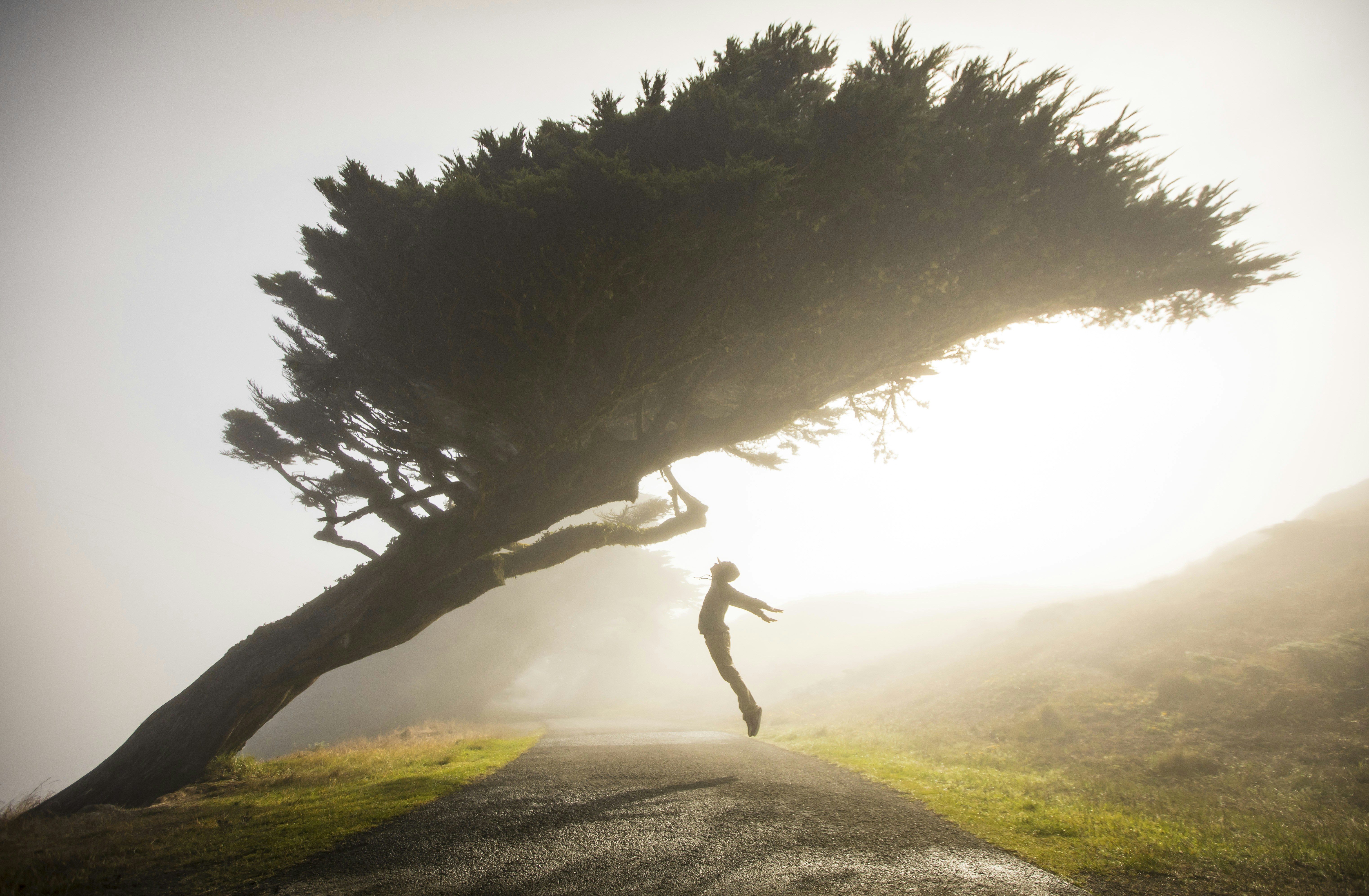 Photo by leo_visions_