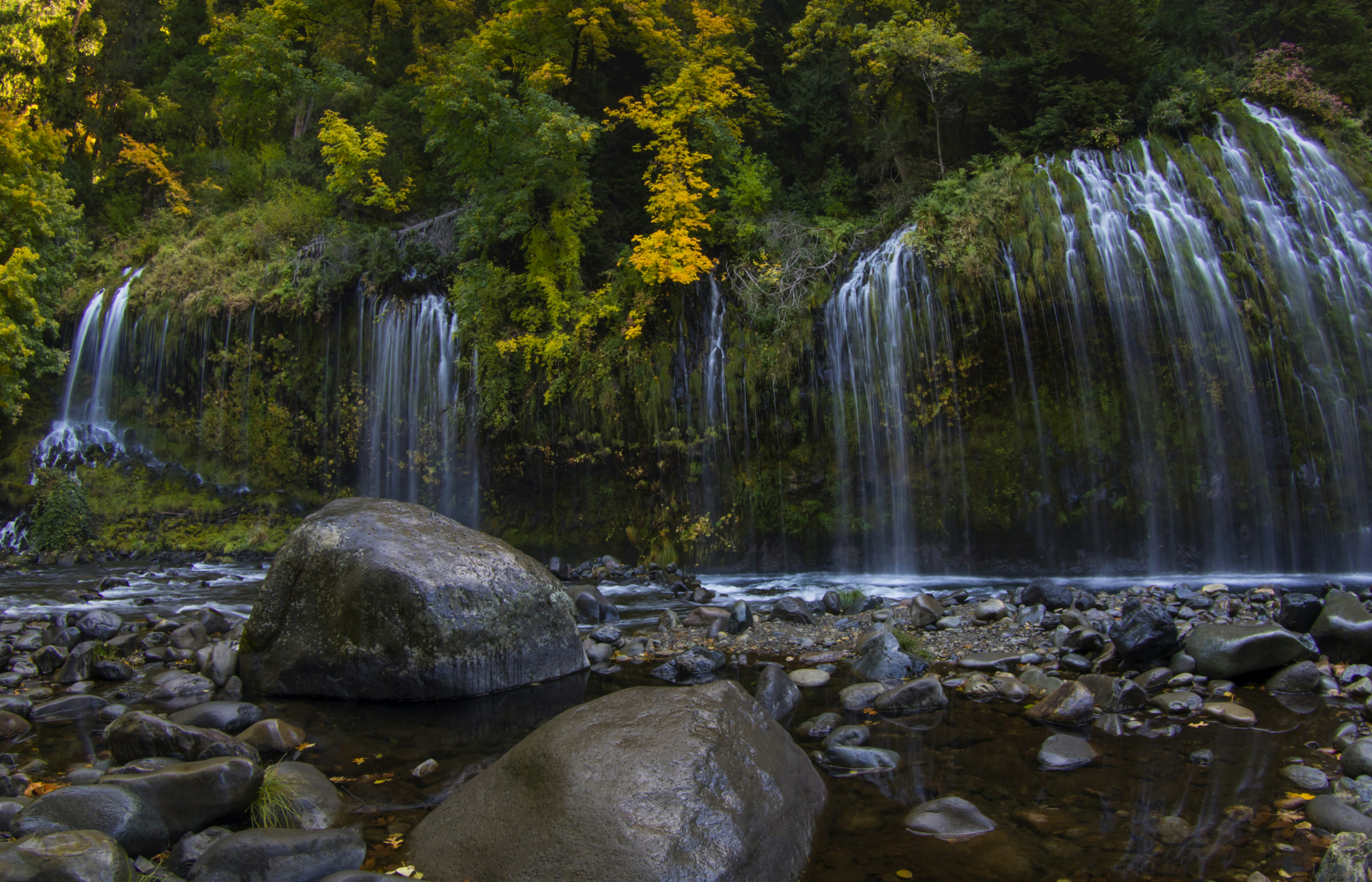 Photo by leo_visions_