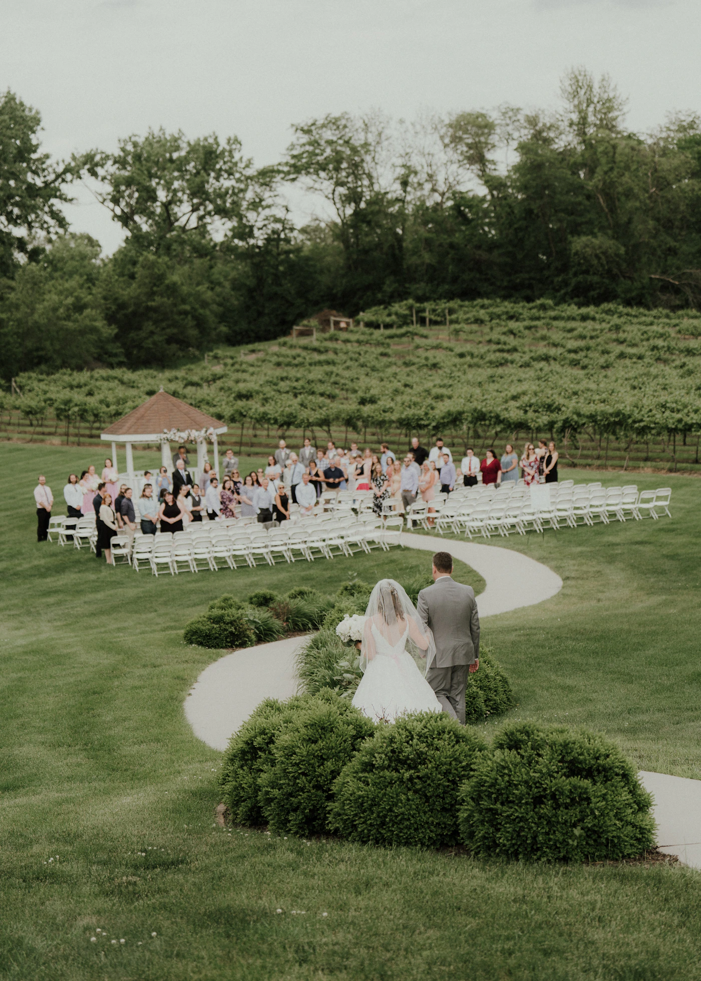 Wedding ceremony at a vineyard estate, bride walking down a curved path toward a gazebo altar with vineyard rows stretching behind on both sides